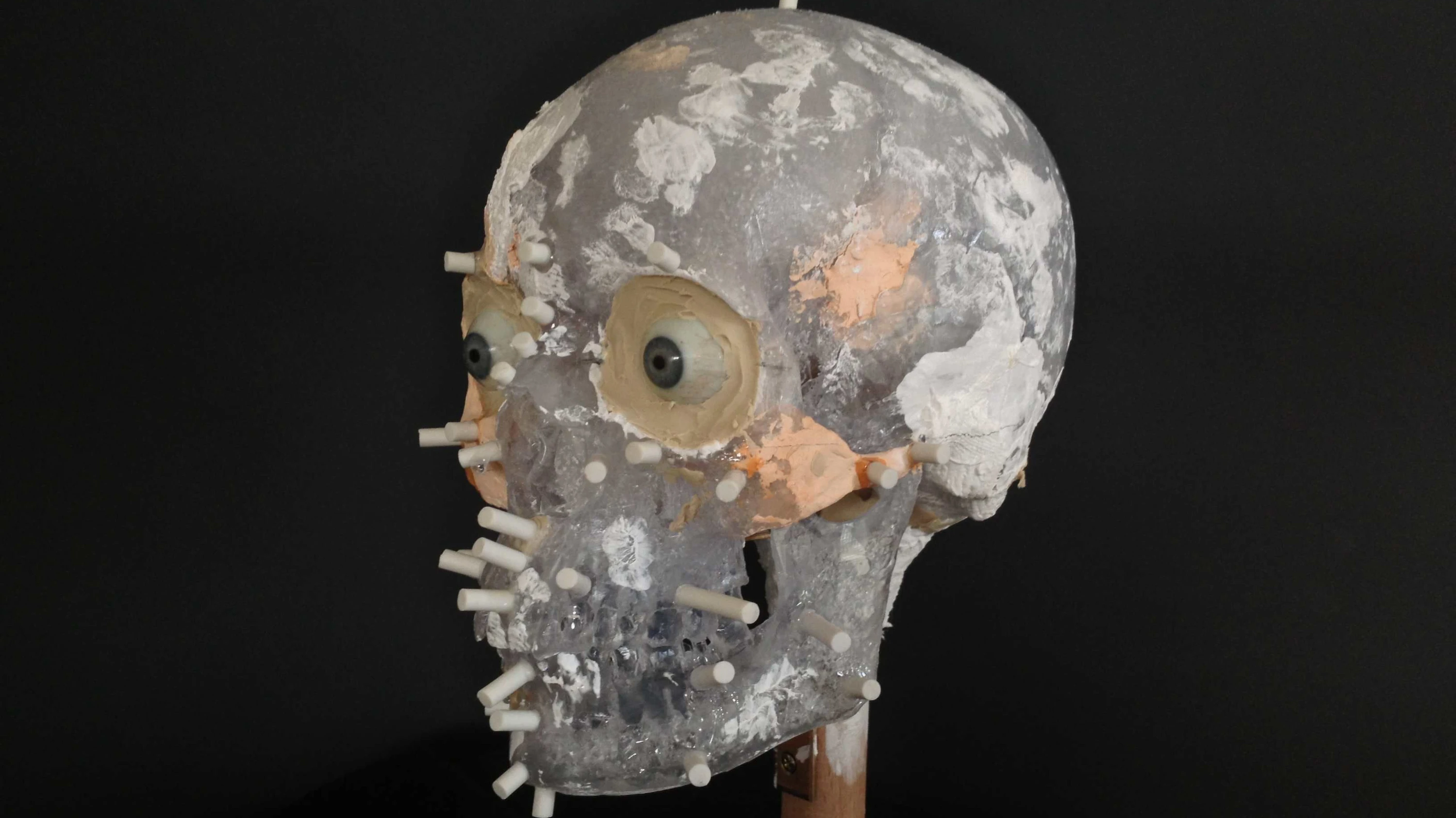 Ungewöhnliche Kooperation: Was Mordermittler von Archäologen lernen können