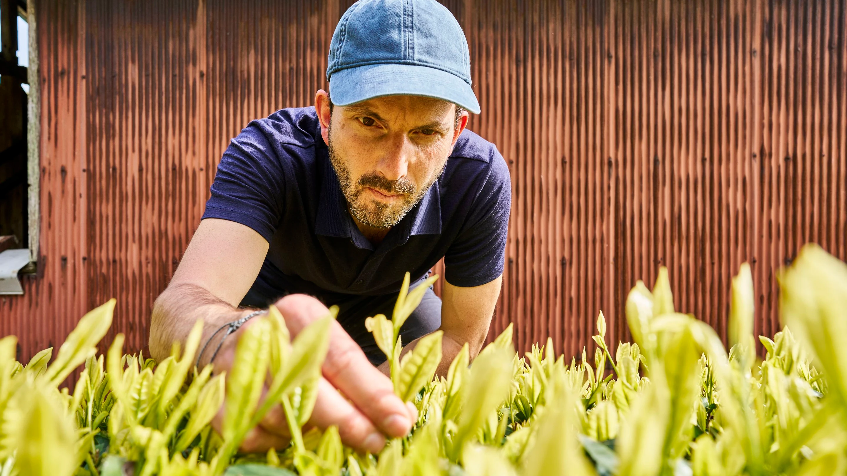 Tee-Enthusiast: Christian Beck beschäftigt sich seit vielen Jahren mit den Teekulturen Asiens. - Stefan Braun