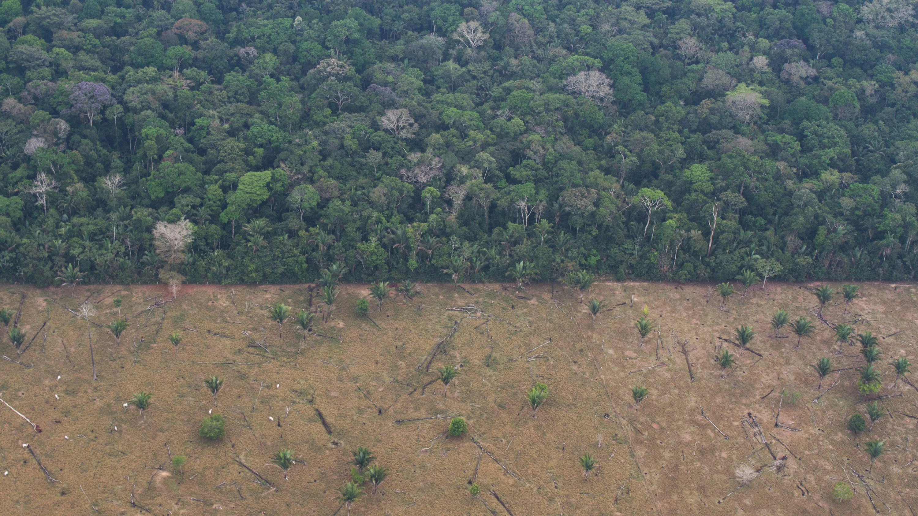 Weltbiodiversitätsrat: Jetzt ist die Wirtschaft am Zug
