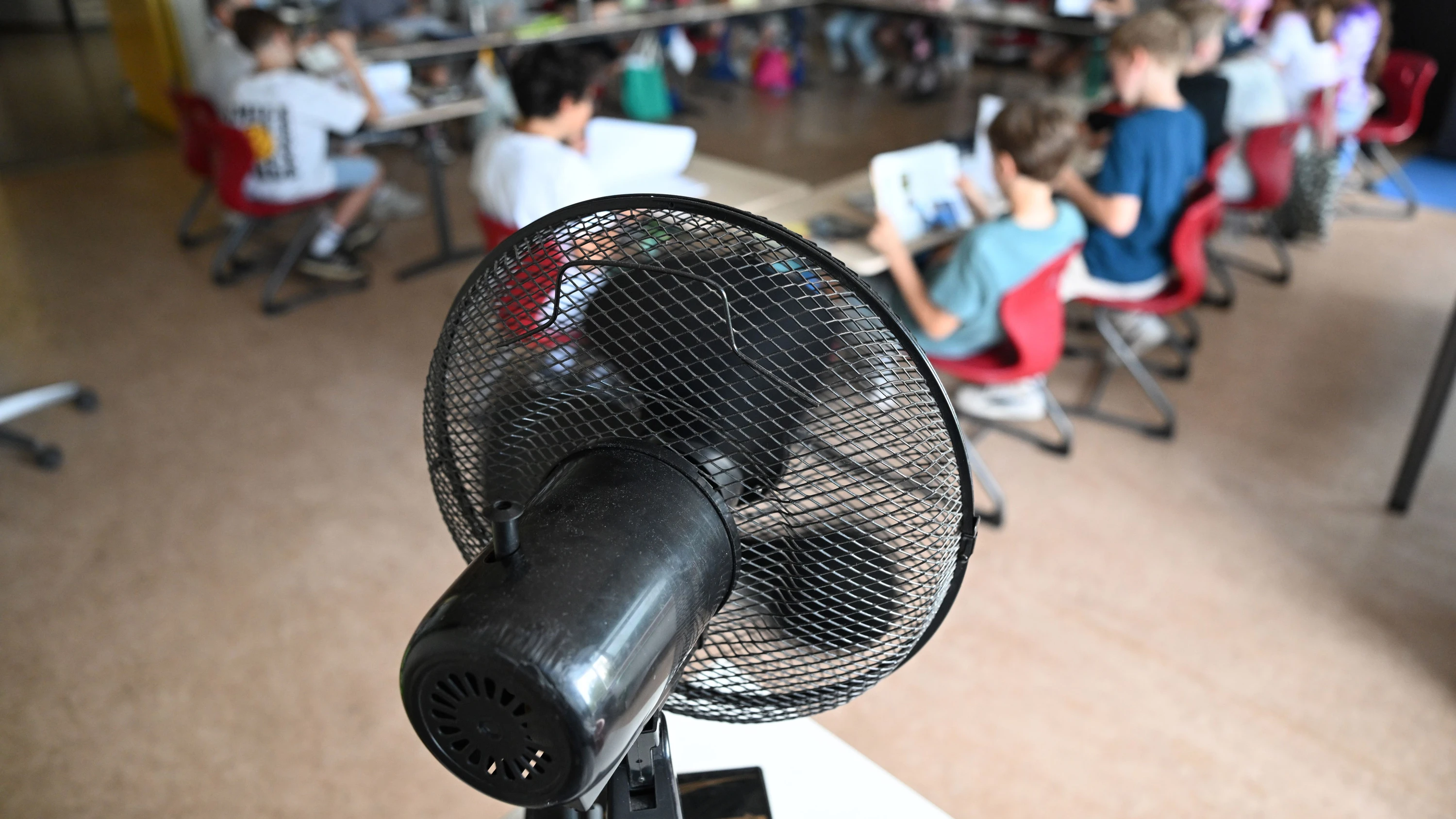 Neues Schuljahr: „Keinen Hitzeschutz zu haben, kostet Leben“ Neues Schuljahr: „Keinen Hitzeschutz zu haben, kostet Leben“