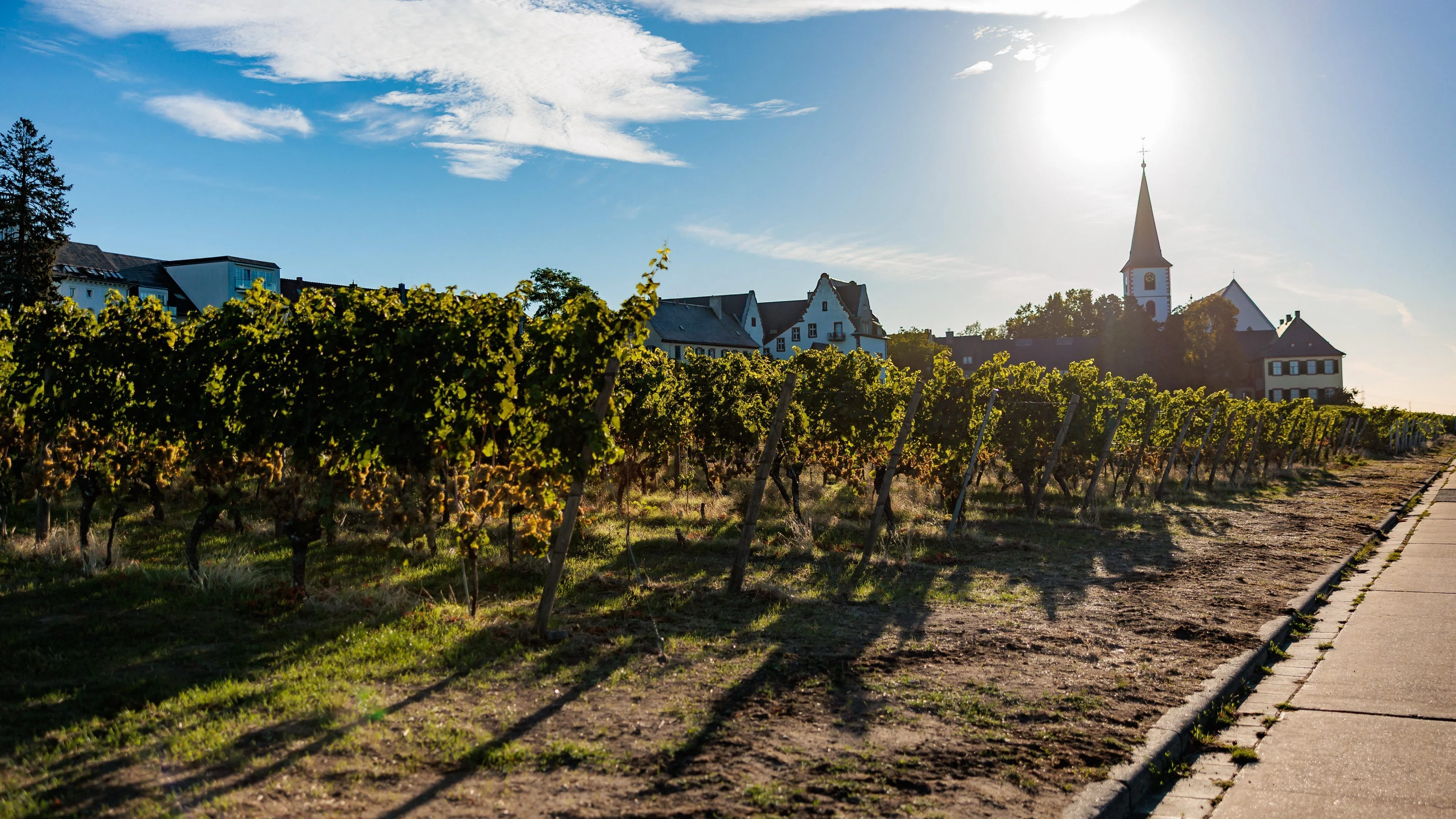 Erde für Installation: Lehm aus Hochheim wird in Berlin zu Kunst