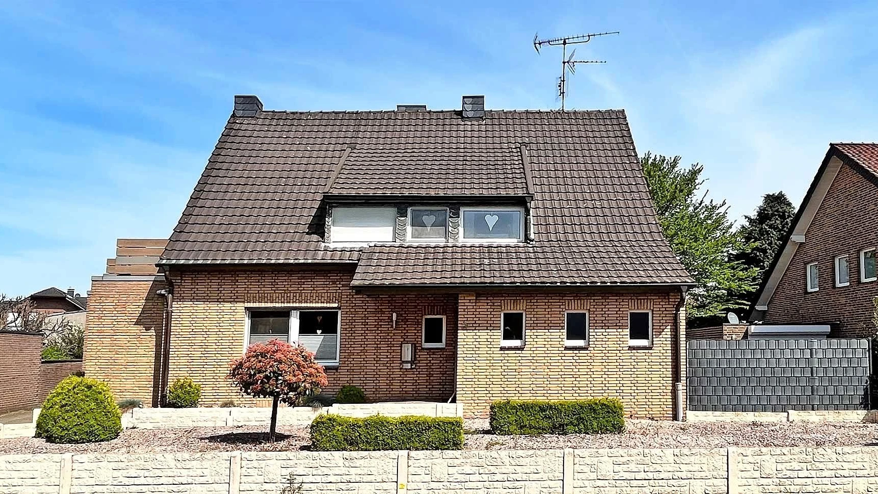 Schottergärten: „Schon die Ansicht ist lebensfeindlich“