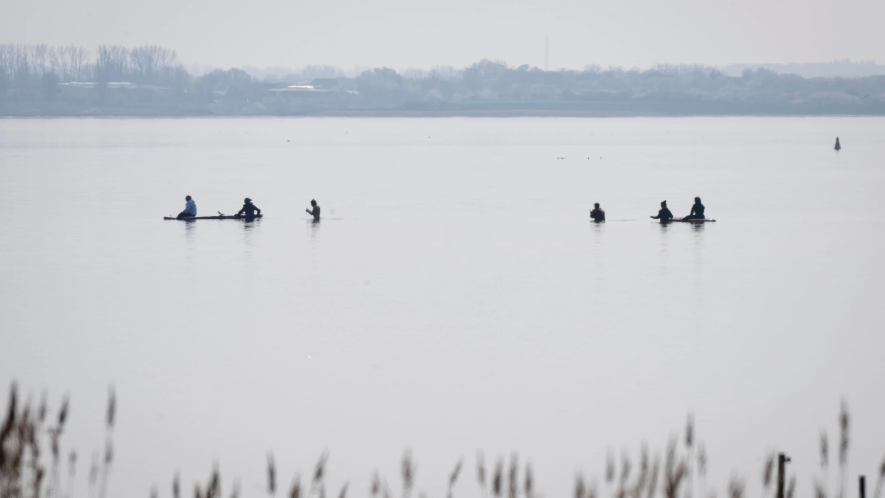 Insel Poel: Helfer nähern sich dem Wal. - dpa