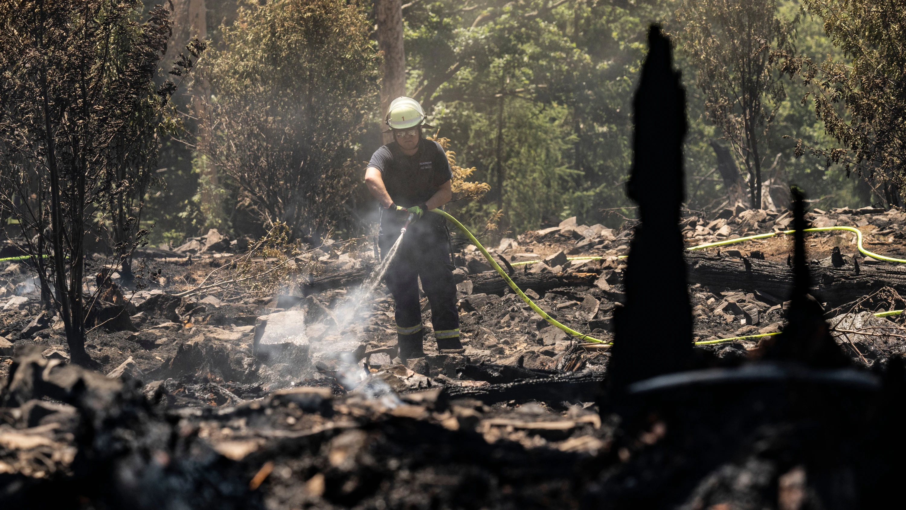 Hitze und Trockenheit: Wo die Waldbrandgefahr in Hessen am höchsten ist
