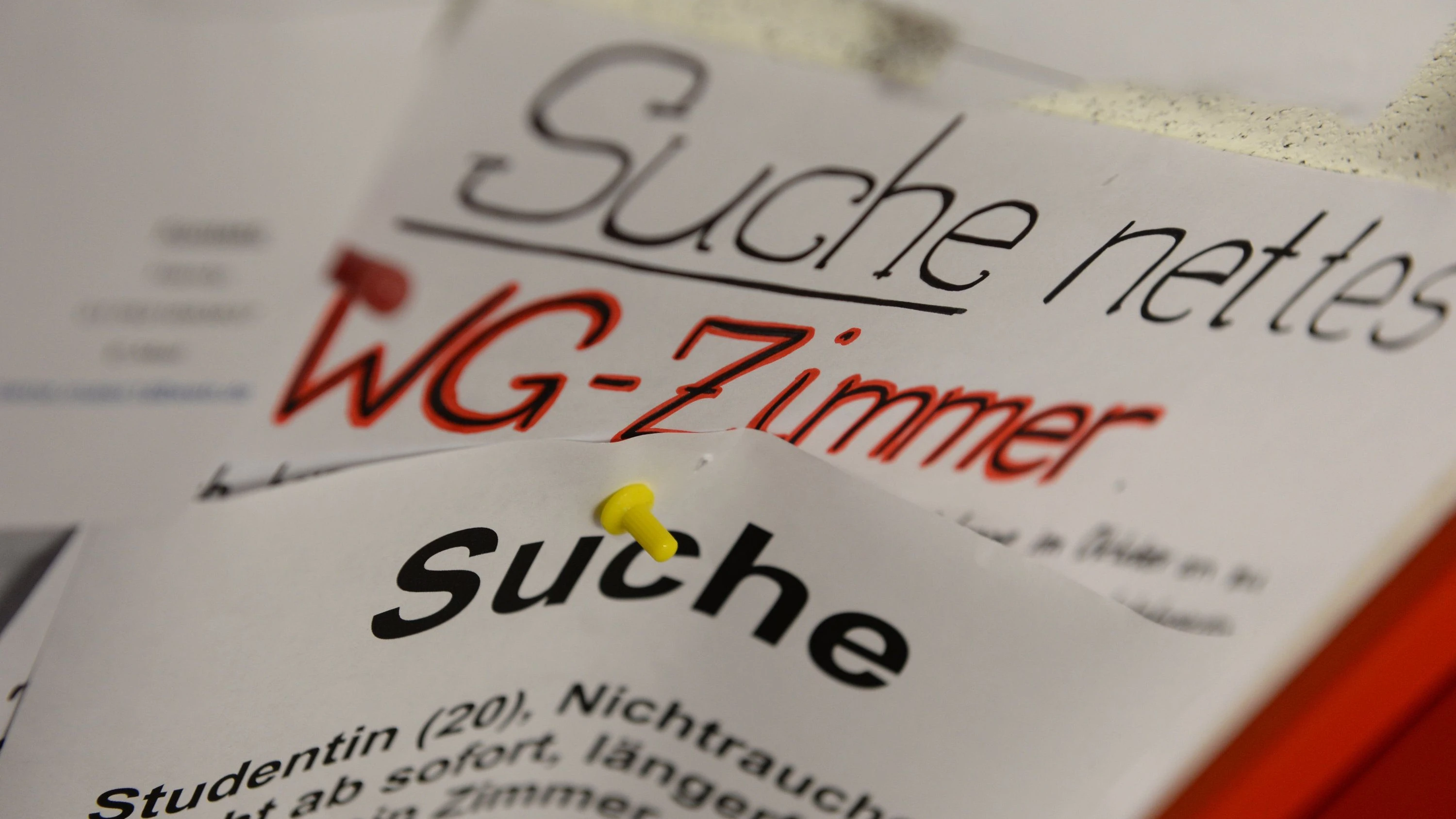 Kolumne „Uni Live“: 13 Quadratmeter Freiheit für 650 Euro