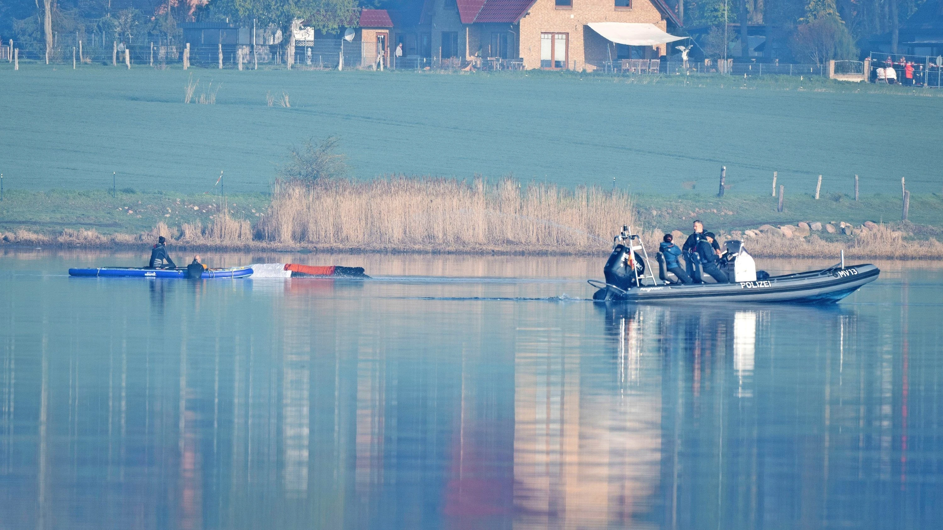 Bergung vor der Insel POel: Darum ist die Rettung des Wals so umstritten