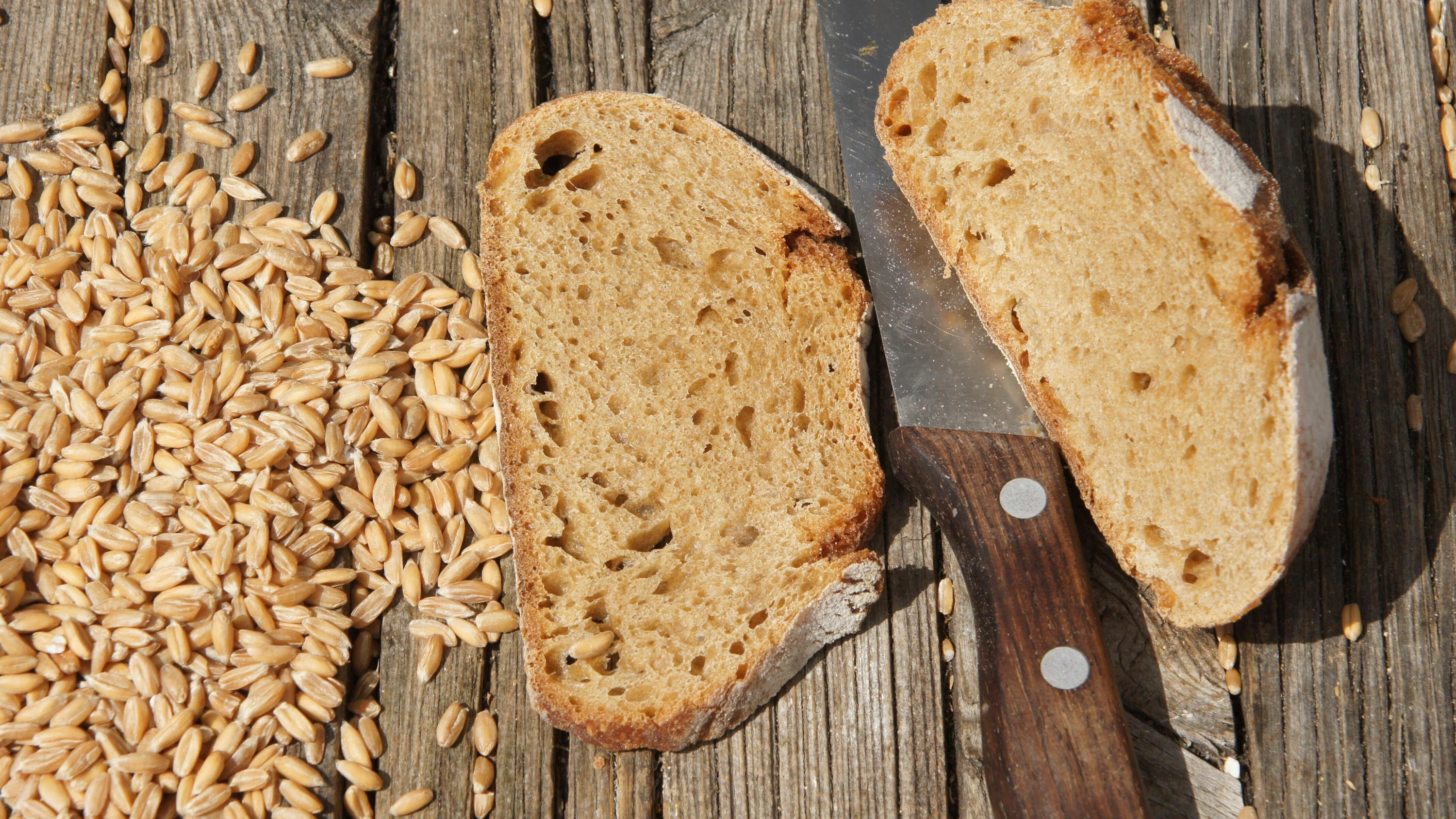 Das Beste lesen mit FAZ+: Erlebnisse aus der Notaufnahme und der Hype um Dinkel Das Beste lesen mit FAZ+: Erlebnisse aus der Notaufnahme und der Hype um Dinkel
