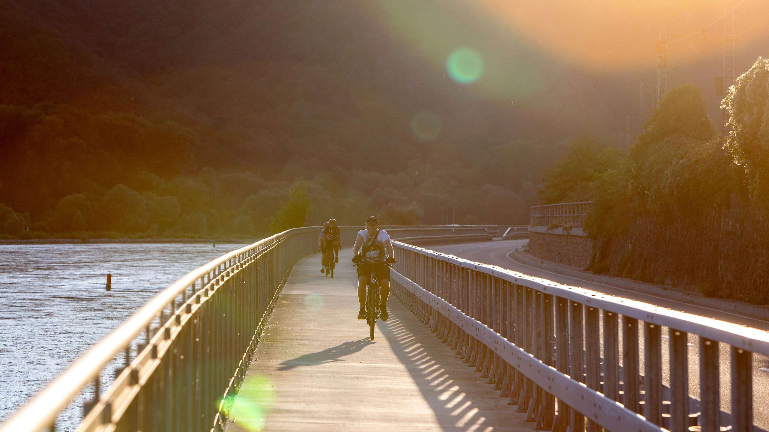 Radwege im Rheingau: Hessen Mobil will Rhein-Radweg schneller fertigstellen