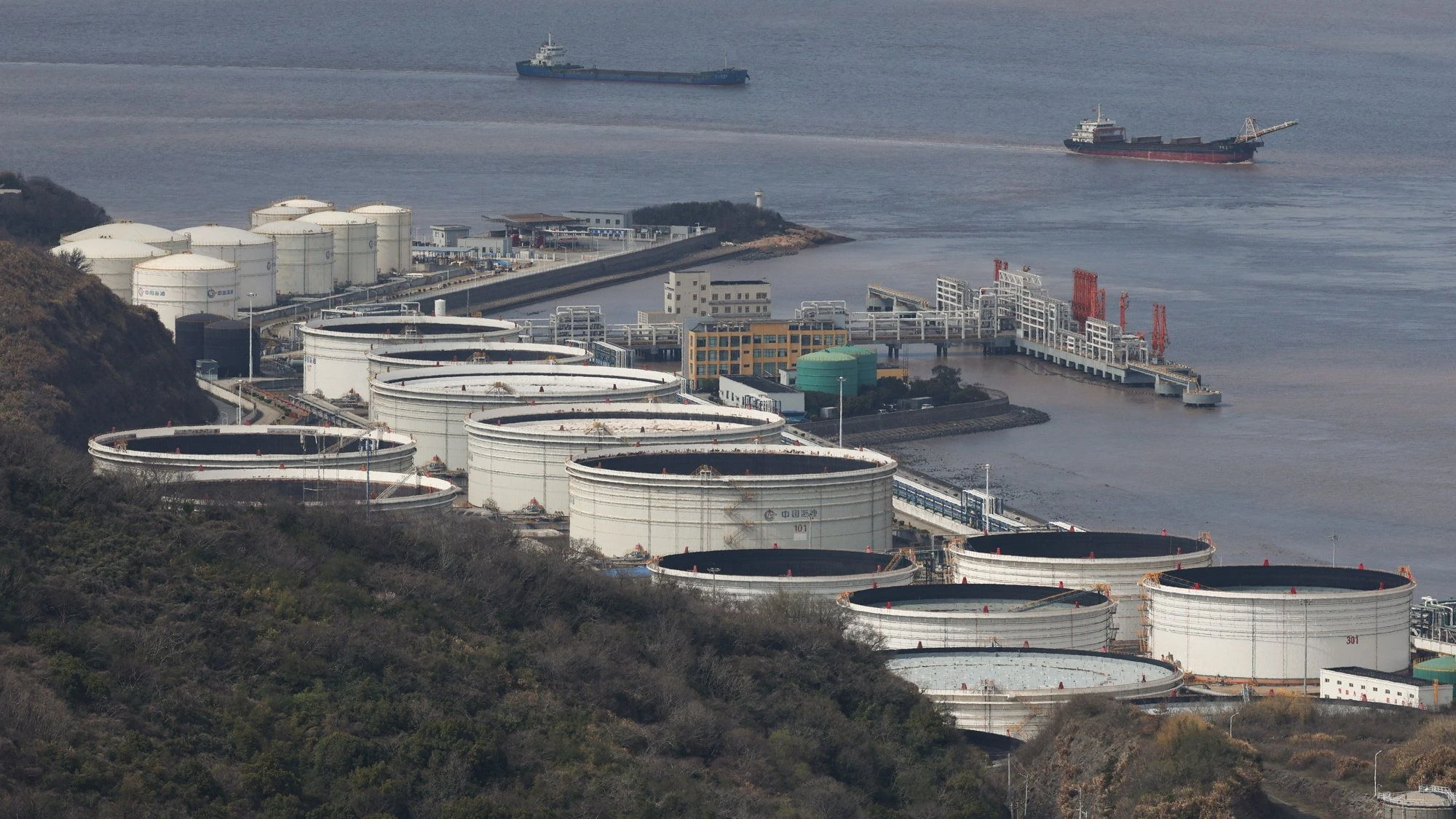 Vorwurf der Marktverzerrung: „Realistisch betrachtet: Wer würde in Chinas Lage nicht kaufen?“