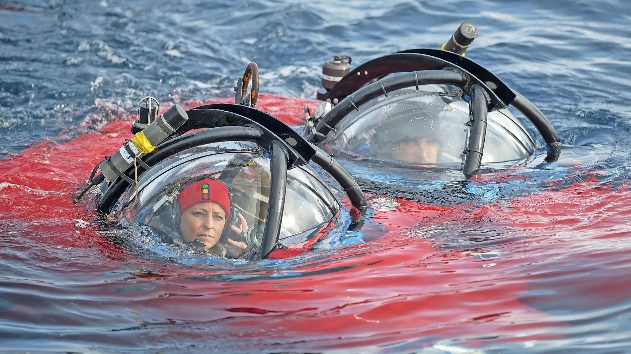 Biologin Susanne Lockhart sammelt seit 30 Jahren Daten über den antarktischen Meeresboden. - Christian Åslund/Greenpeace