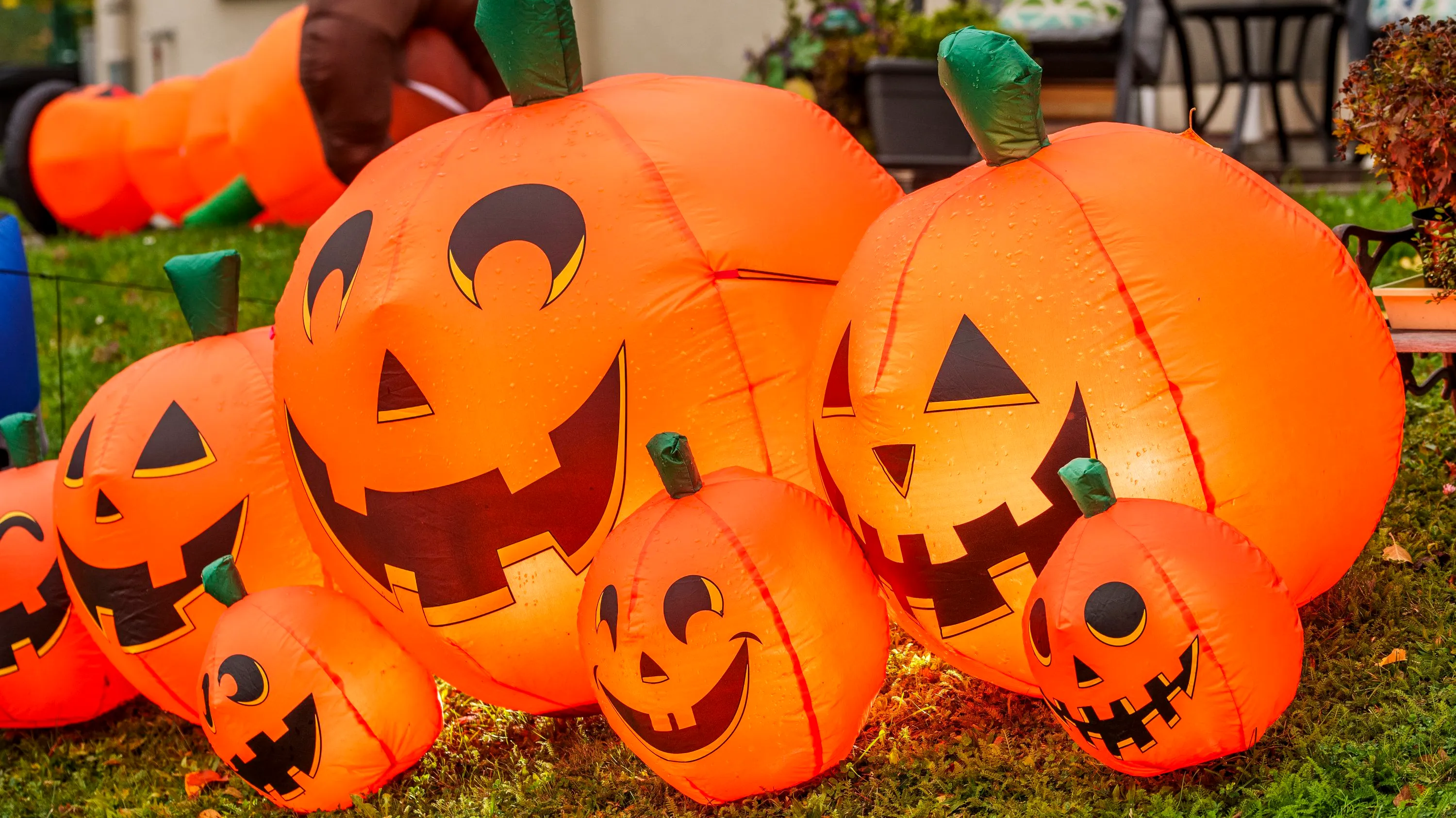 Bild: Gespenster in den USA: Ein Bekenntnis zu Halloween