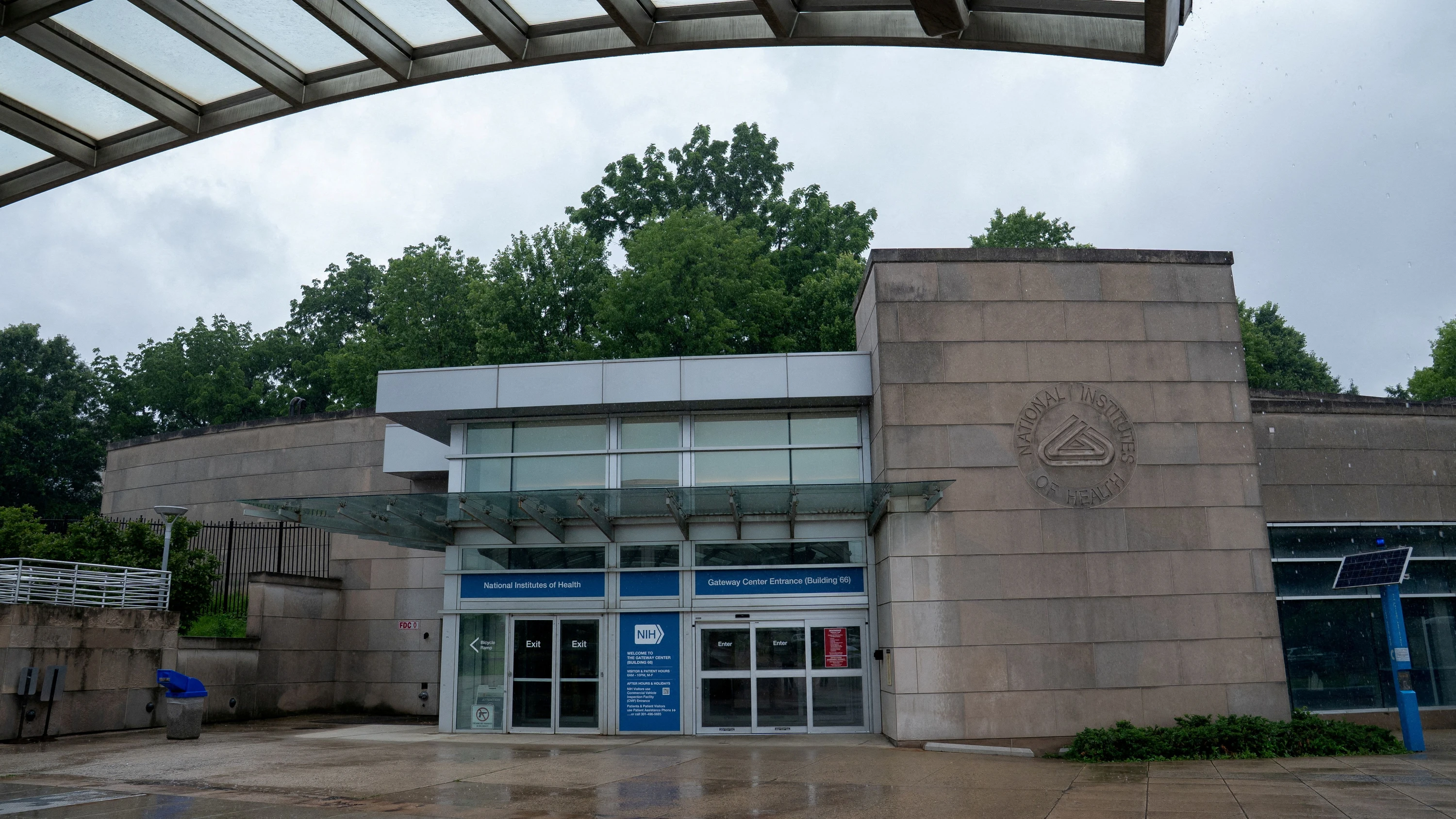 amerikanische Forscher: Der Braindrain lässt auf sich warten