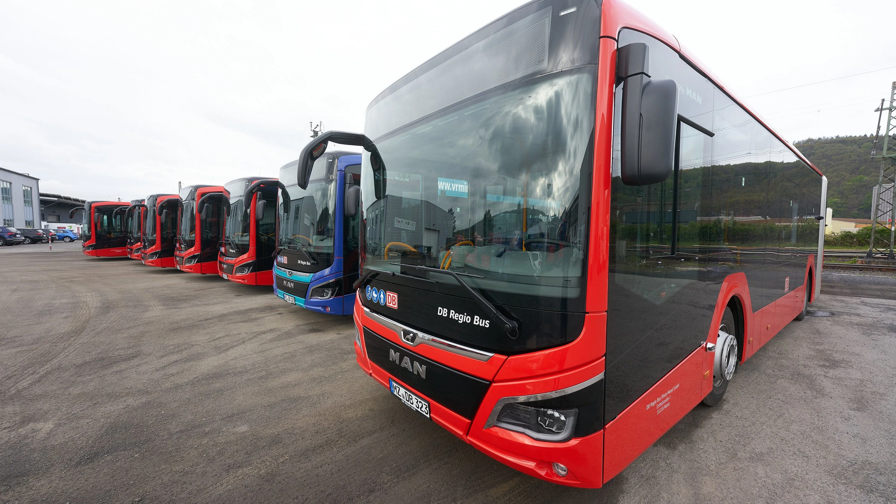 Bestellt bei MAN und BYD: Bahn-Tochter will tausende Busse kaufen, auch von China