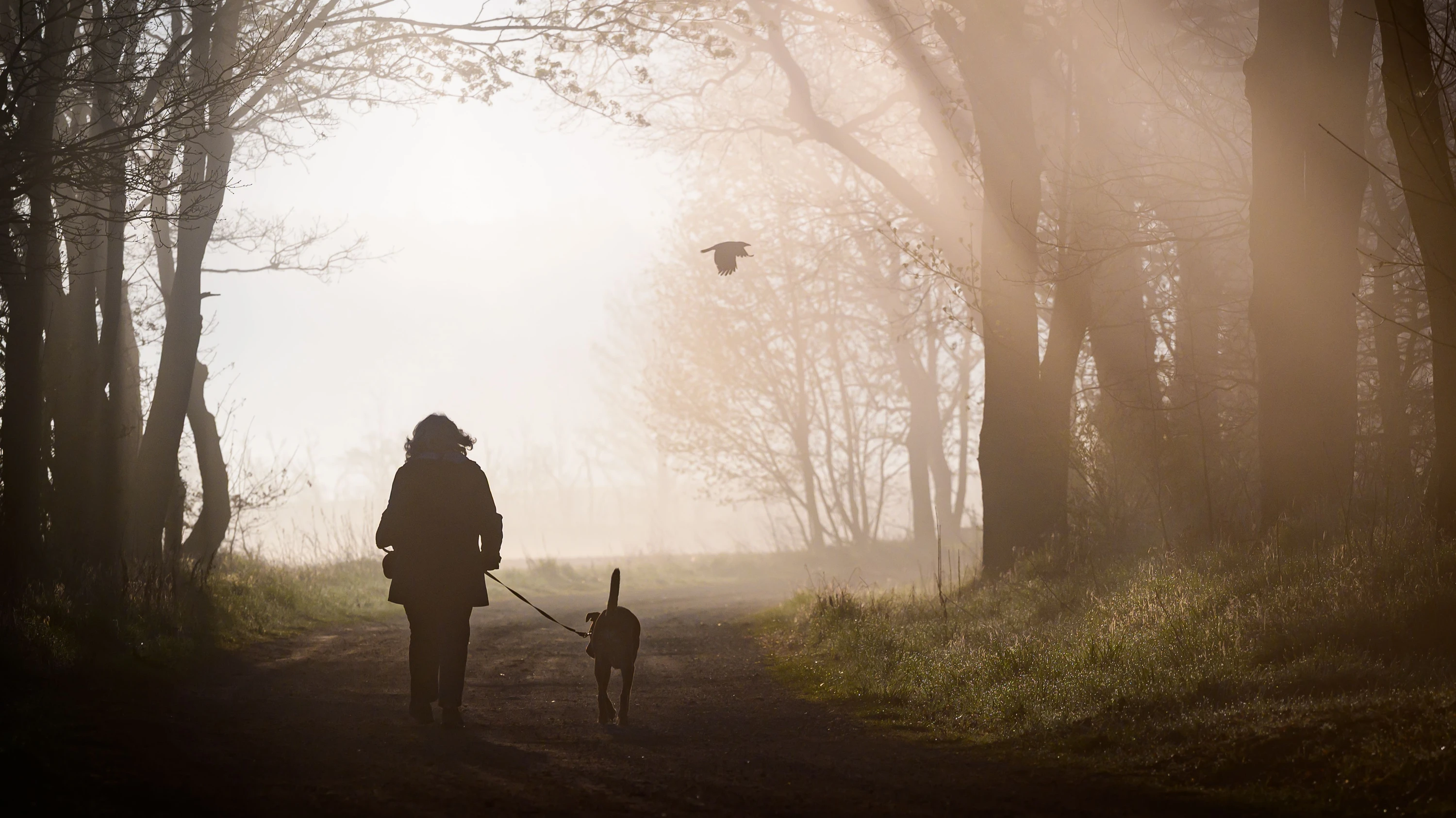 Sterblichkeitsparadox: Frauen leben länger, doch die Gesundheit leidet mehr