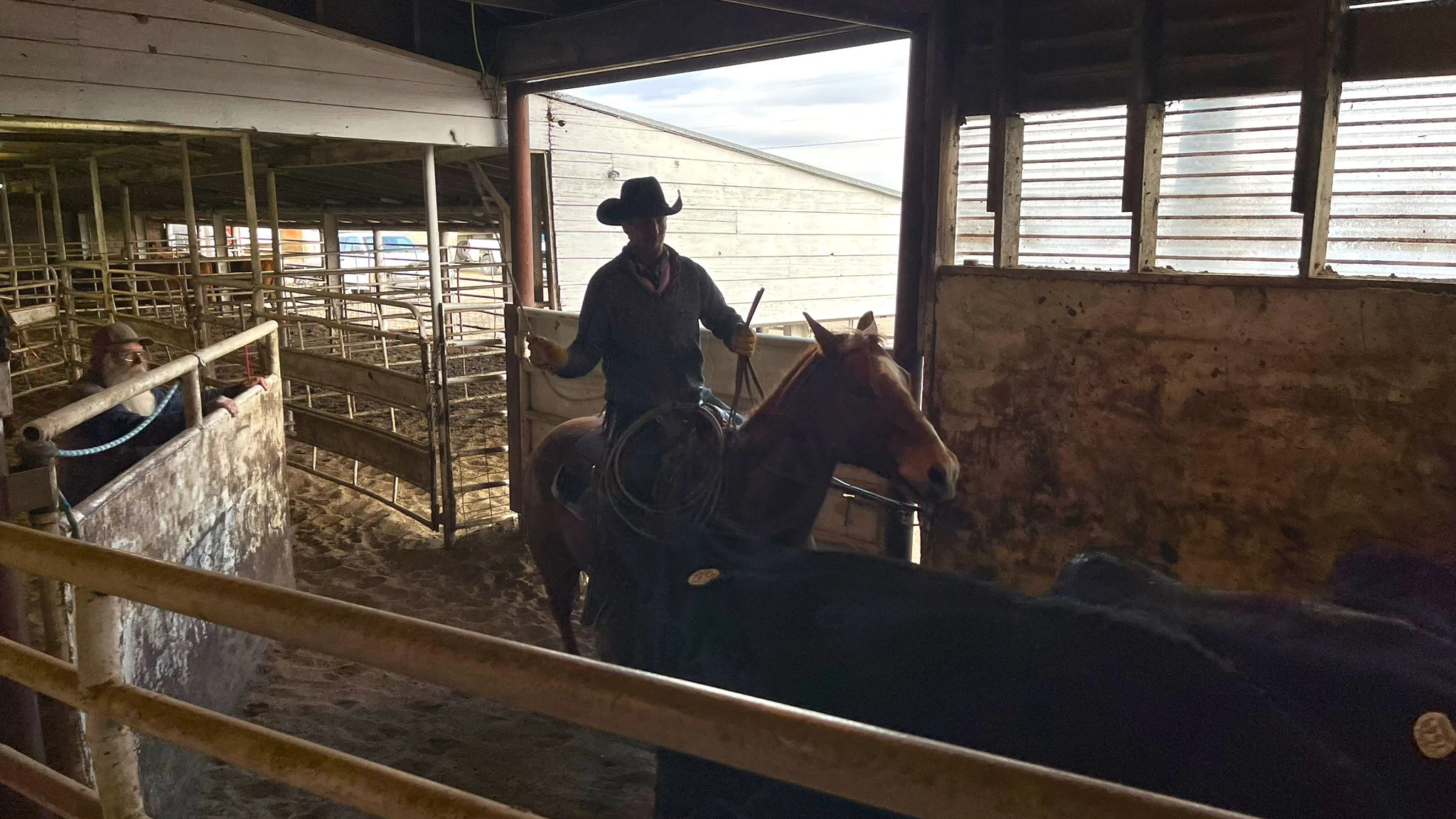 Im Land der Cowboys: Trump spielt hier keine Rolle – oder doch?