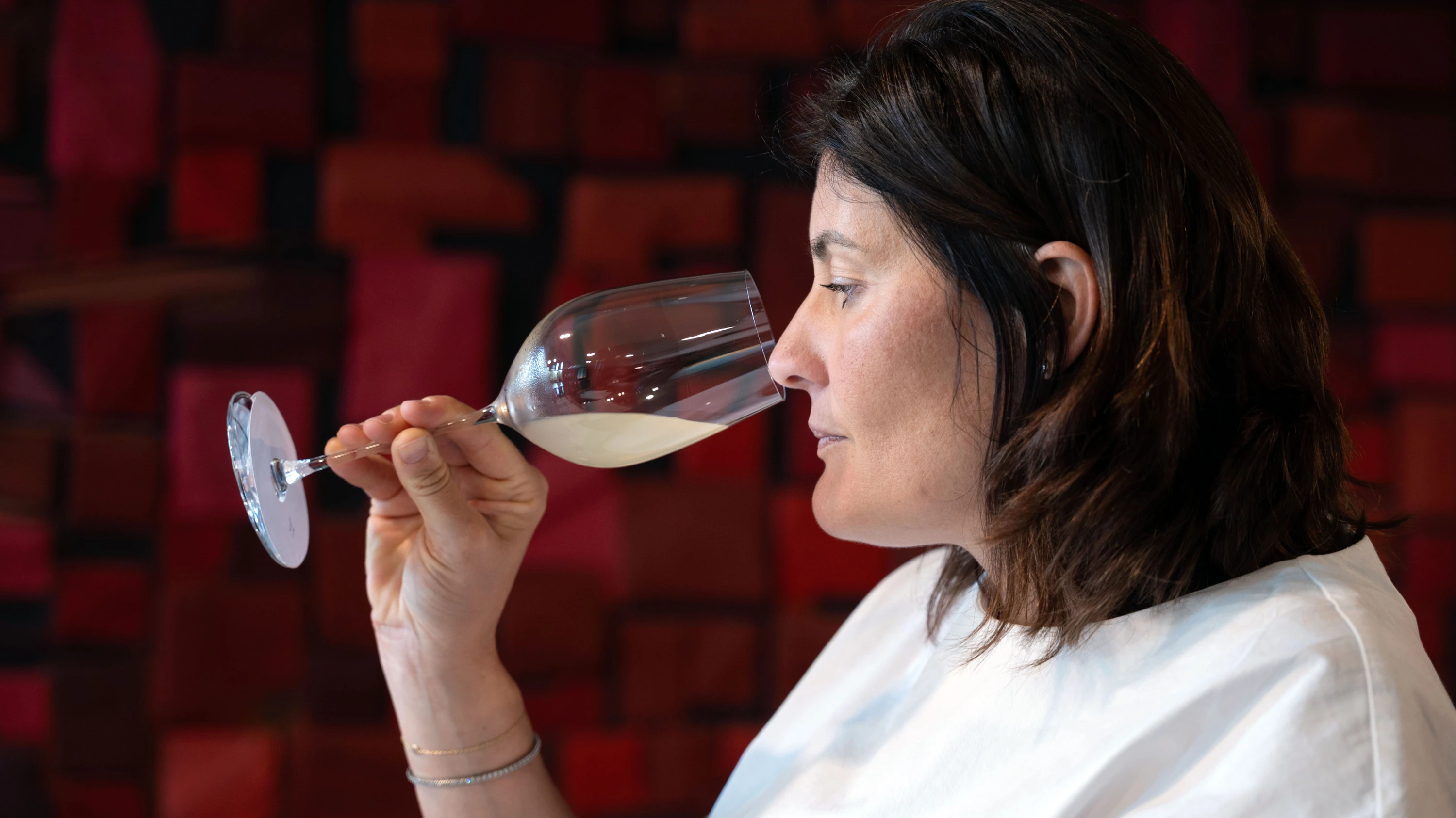 Weingut Gaja: Auf der Höhe der Zeit