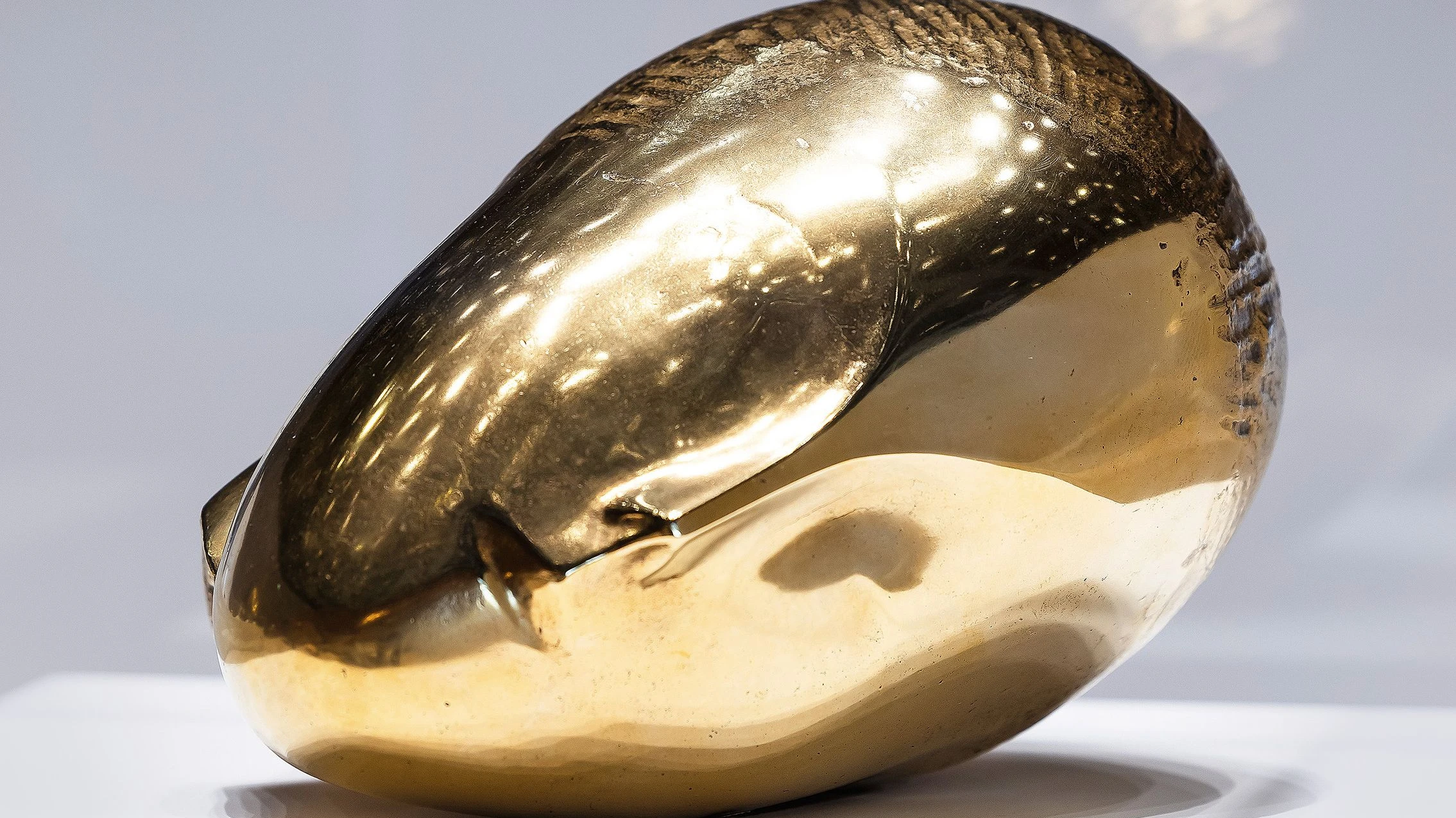 Brâncuși-Ausstellung: Der Mann, der der Zukunft eine Form gab Brâncuși-Ausstellung: Der Mann, der der Zukunft eine Form gab