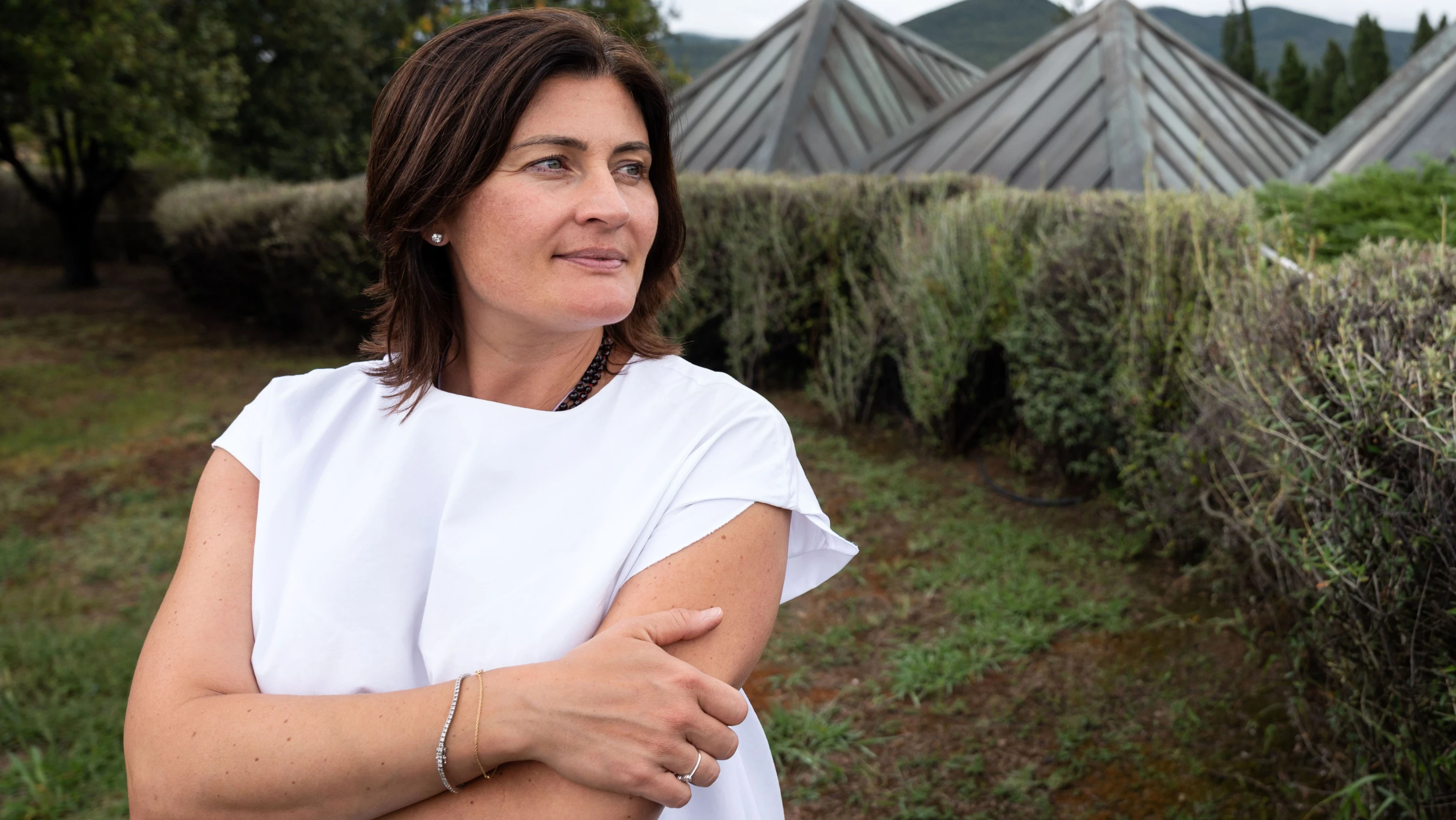 Weingut Gaja: Sie sind am Wein gewachsen