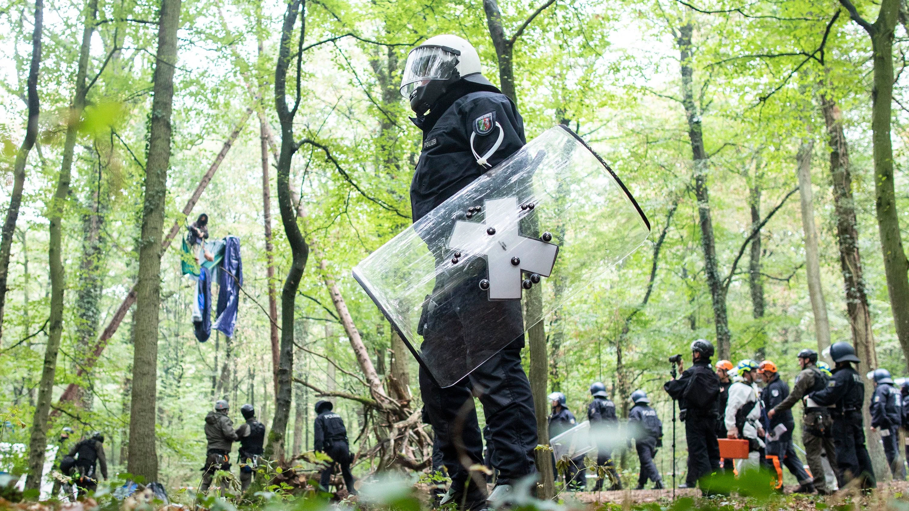Hambacher Forst: Der „Hambi“ soll jetzt Urwald werden