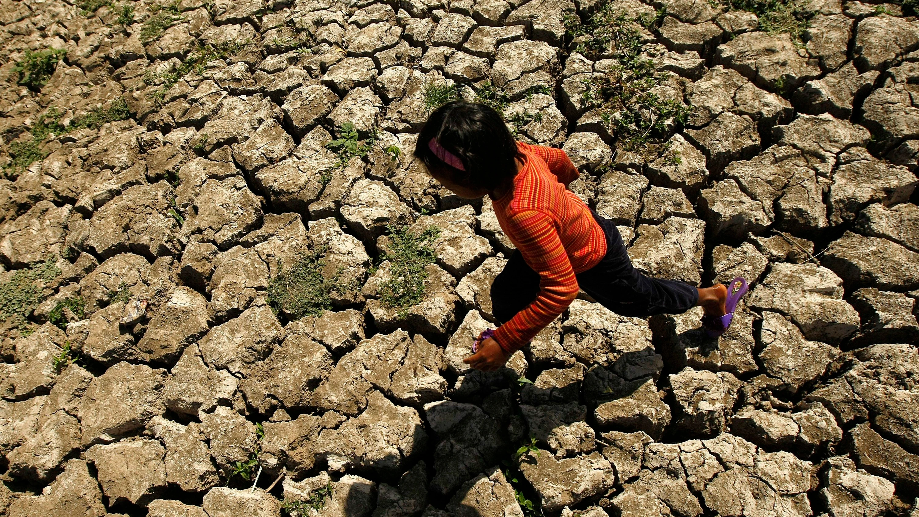 Kipppunkt – F.A.Z.-Klimablog: „Höchste Alarmstufe“ nach El-Niño-Vorhersage