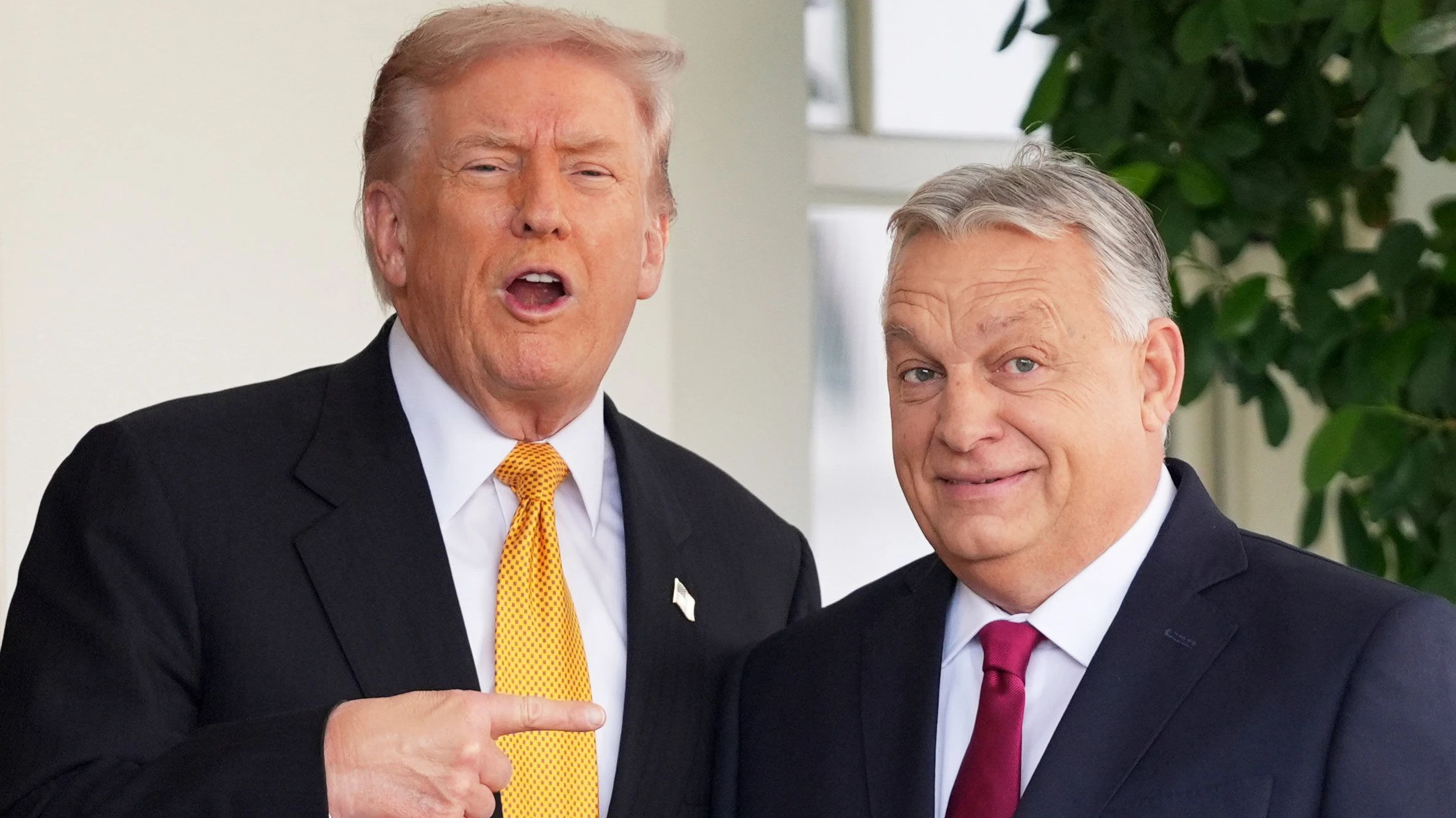 Trump und Obrán im November im Weißen Haus - dpa