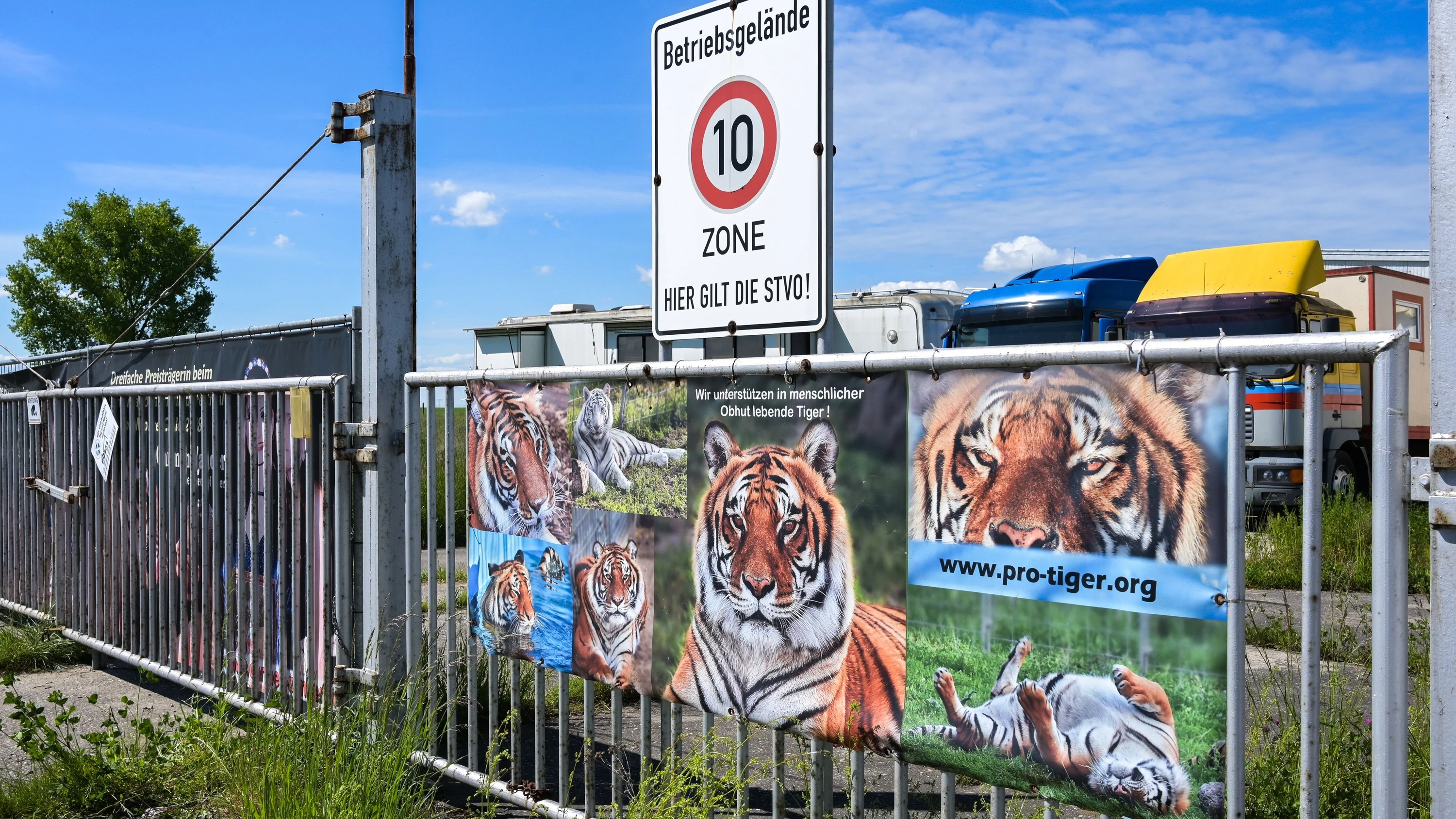Erschossenes Raubtier: Ein Tiger in Schkeuditz, was soll das?