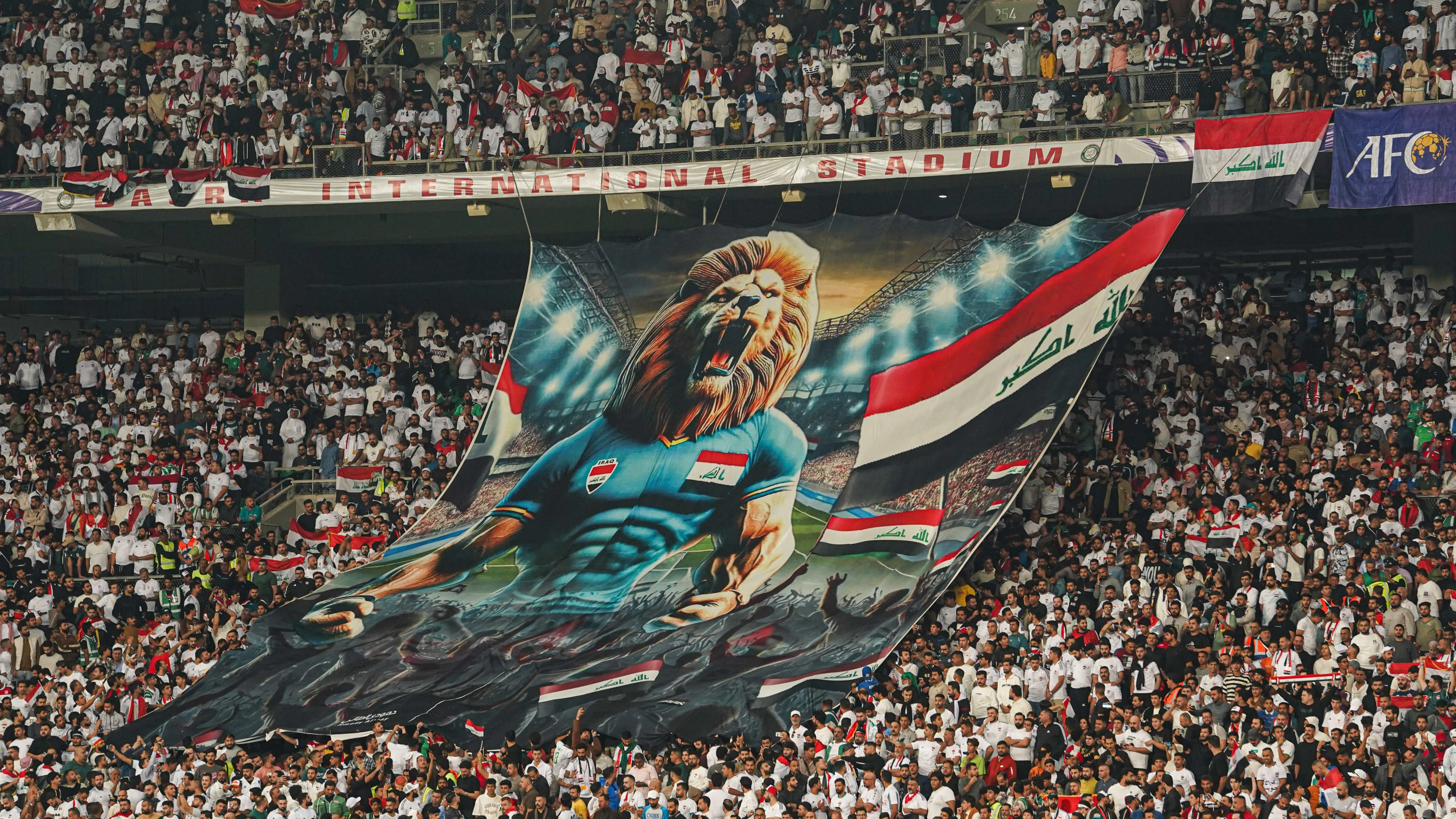 Miteinander statt gegeneinander: Wenn es um die Fußball-Nationalelf geht, schließen sich auf dem Platz und den Tribünen gesellschaftliche Bruchlinien. - picture alliance