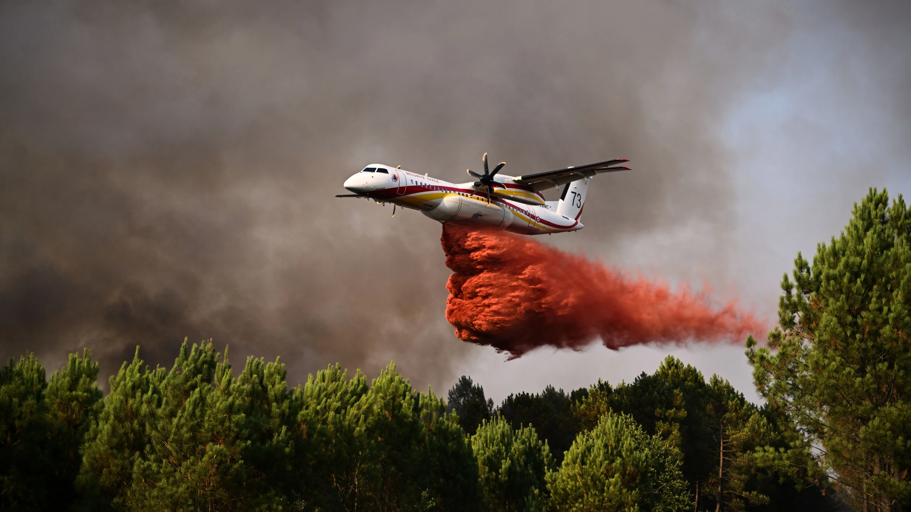 Kampf gegen das Feuer: Frankreich und Spanien melden Ausbruch neuer Waldbrände