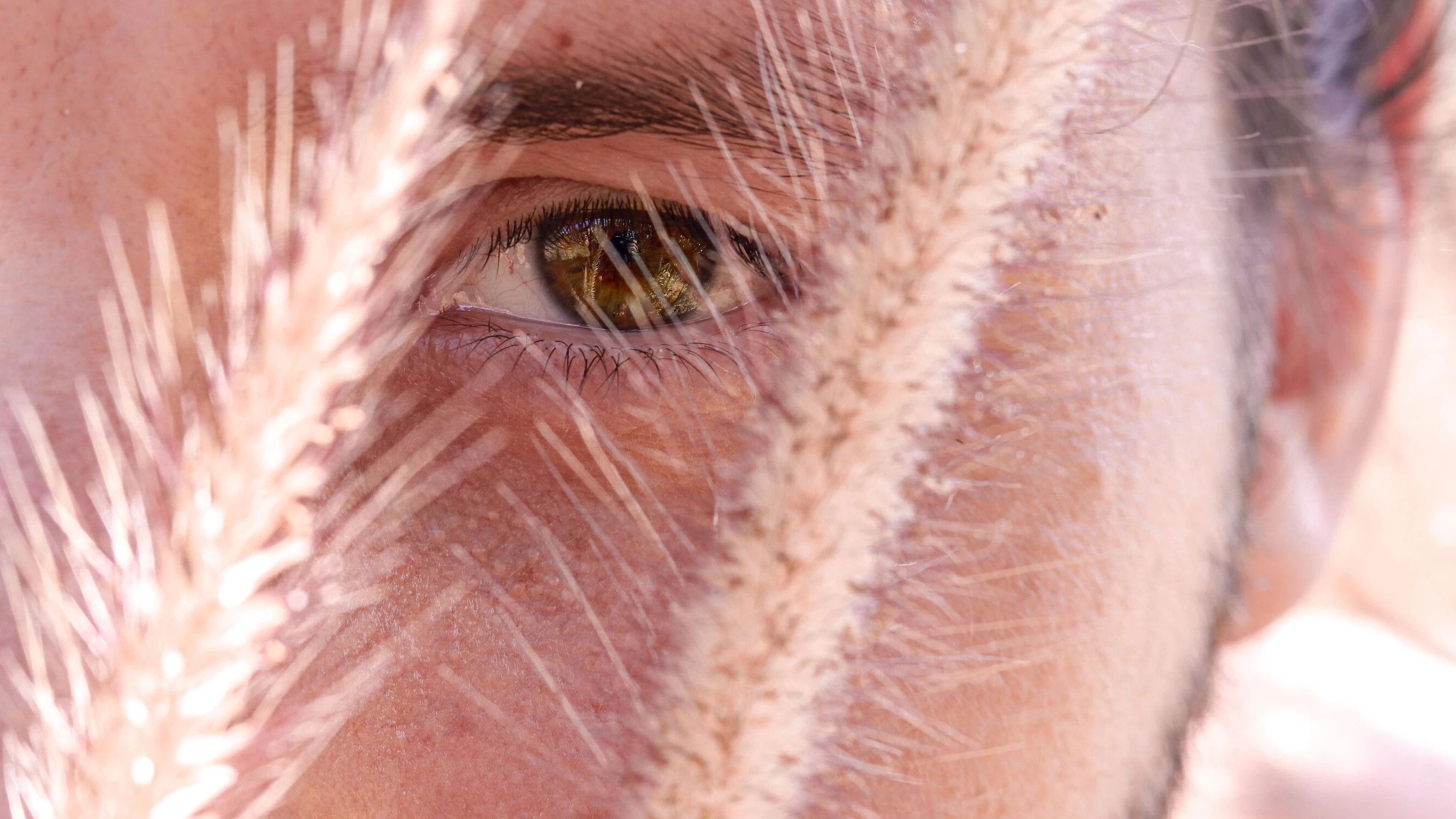 Höchstbegabte Psychologin: „Hochintelligente stellen oft eine Herausforderung für das Selbstwertgefühl von anderen dar“