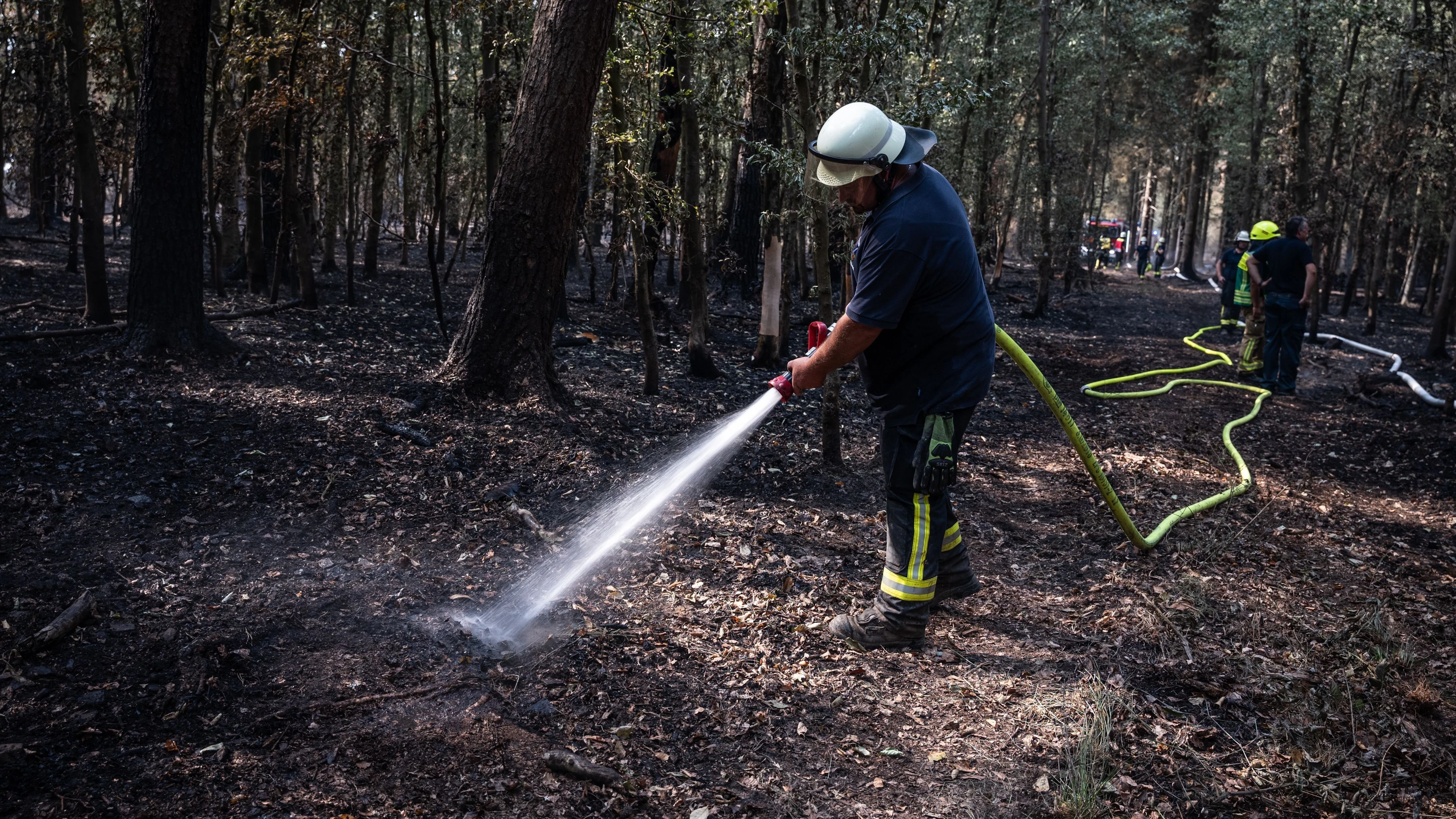 Deutschland-Liveblog: Nach dem Urlaub besucht Merz zuerst das Waldbrandgebiet
