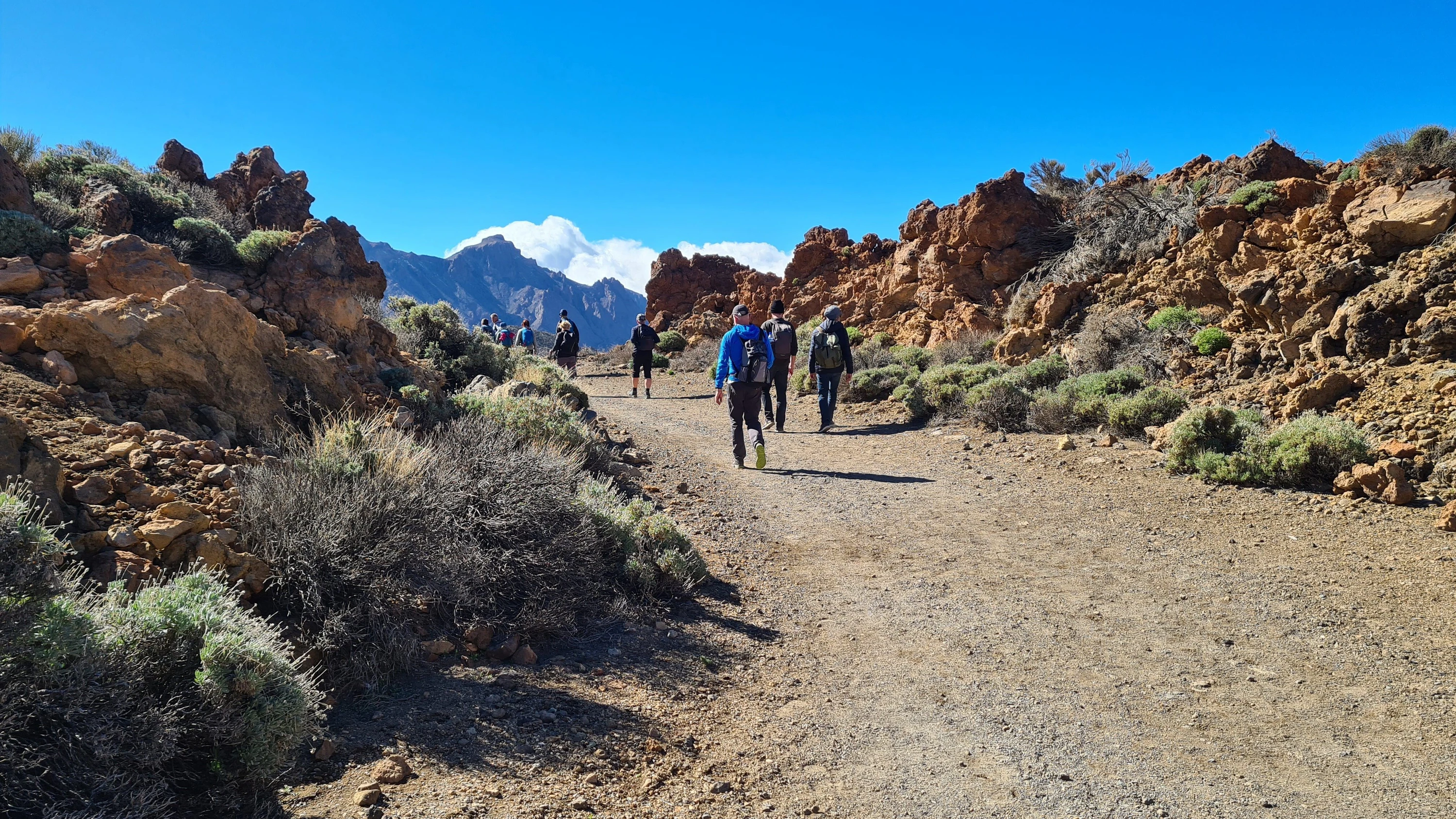 Auf teneriffa: Vermisster Tourist aus Niedersachsen für tot erklärt Auf teneriffa: Vermisster Tourist aus Niedersachsen für tot erklärt