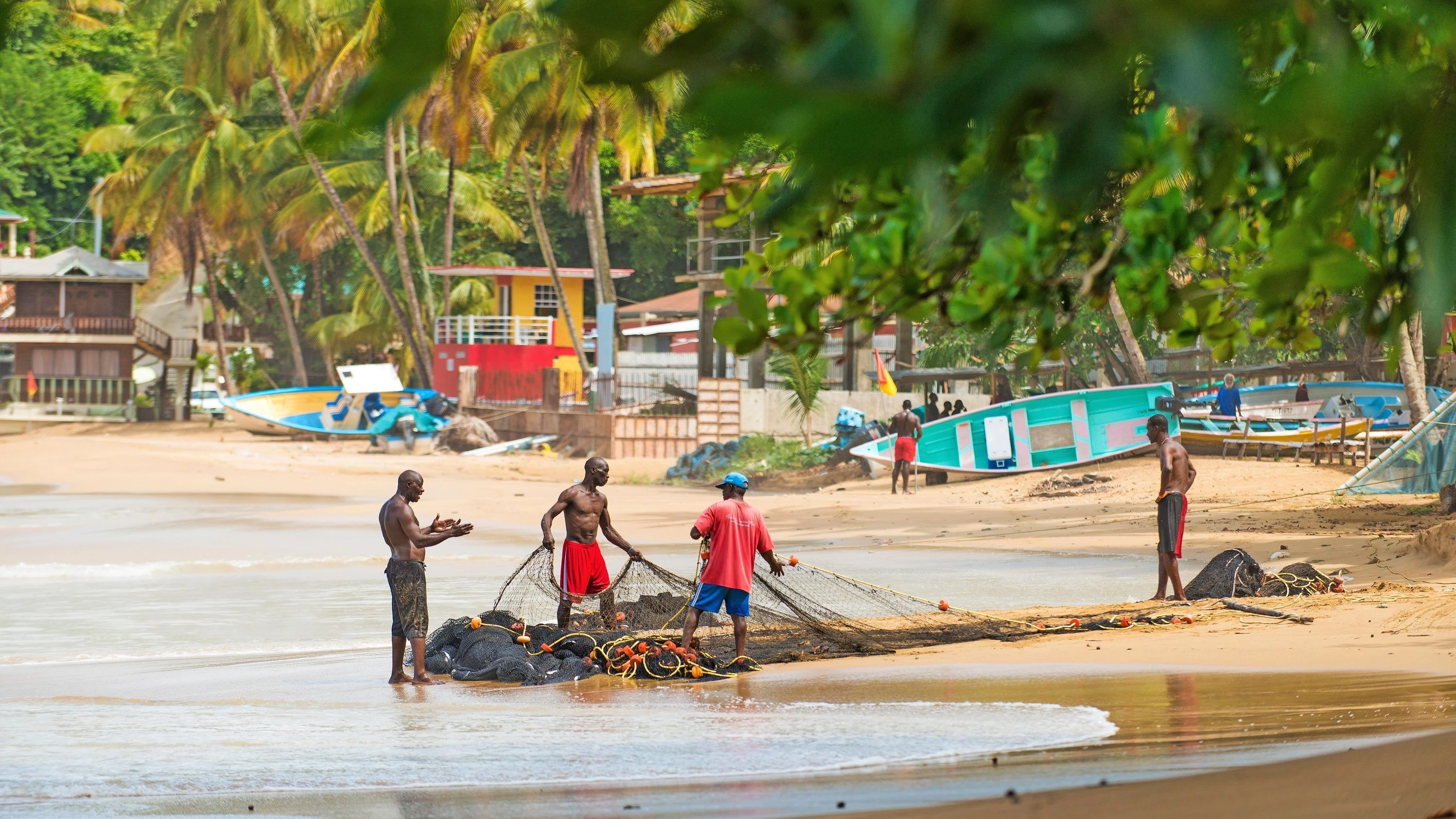 Ursprüngliches Tobago: Eine Karibikinsel, wie es sie eigentlich nicht mehr gibt