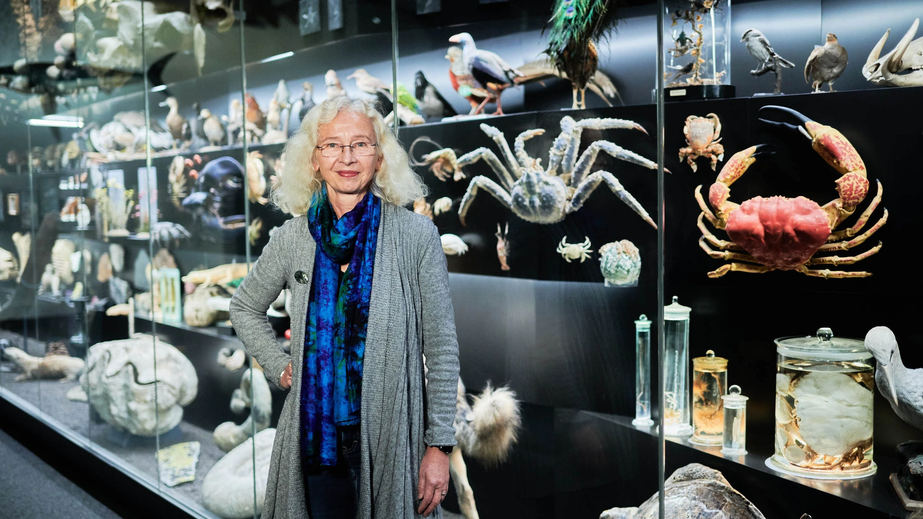 Wissenschaft im Dialog: Was verbirgt sich in der Tiefsee, Frau Brandt?