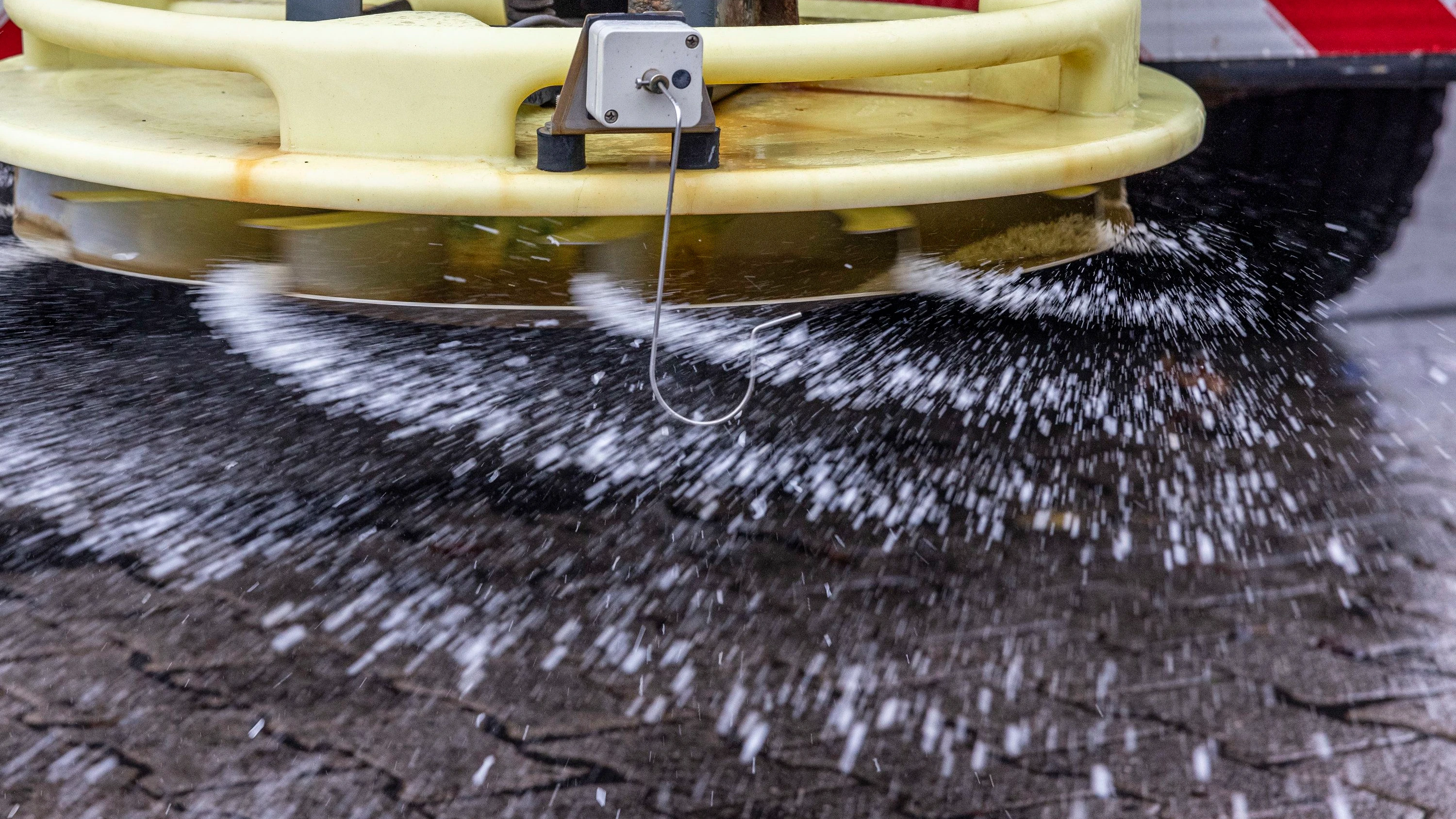 Urbane Ökologie: Warum Streusalz die Böden stresst Urbane Ökologie: Warum Streusalz die Böden stresst