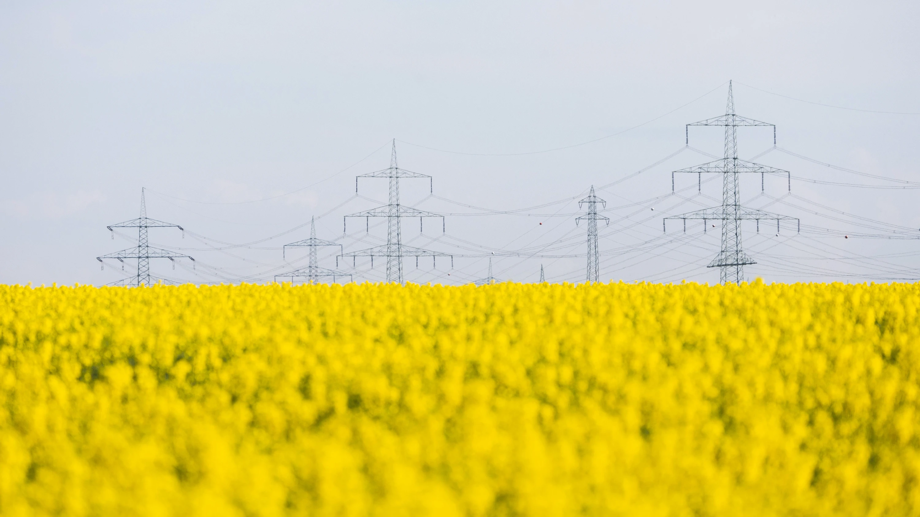 Trotz Energiewende: Warum ist Europa so abhängig?