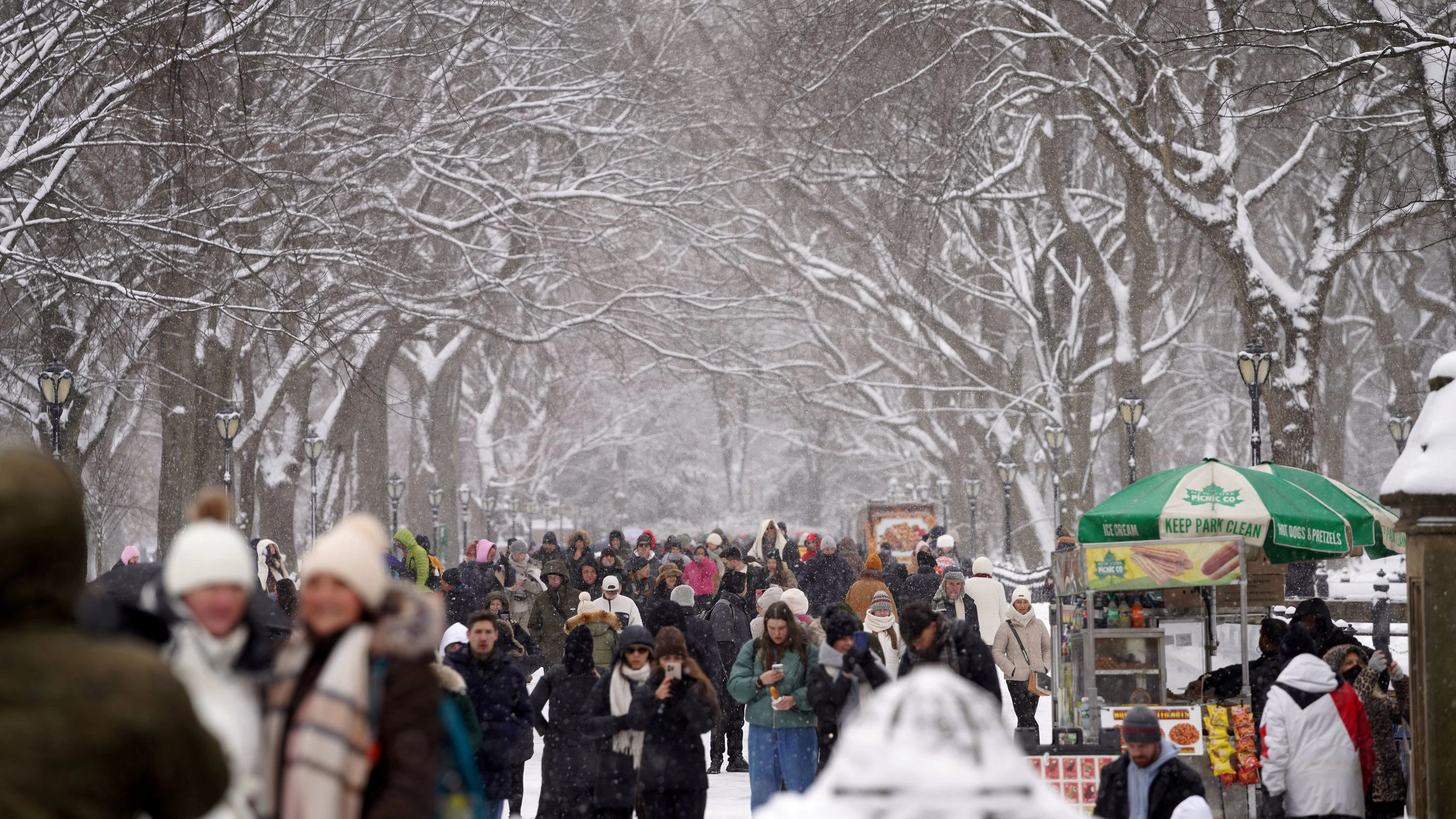Nordosten der USA: Wintersturm legt Flugverkehr lahm – viel Neuschnee im Central Park