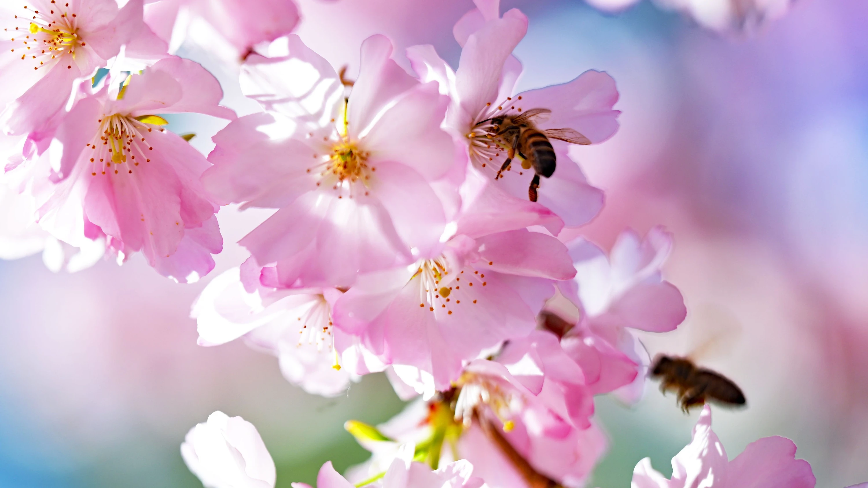 Bild: Kolumne „Nine to Five“: Reisende Tränen, bebendes Begehren