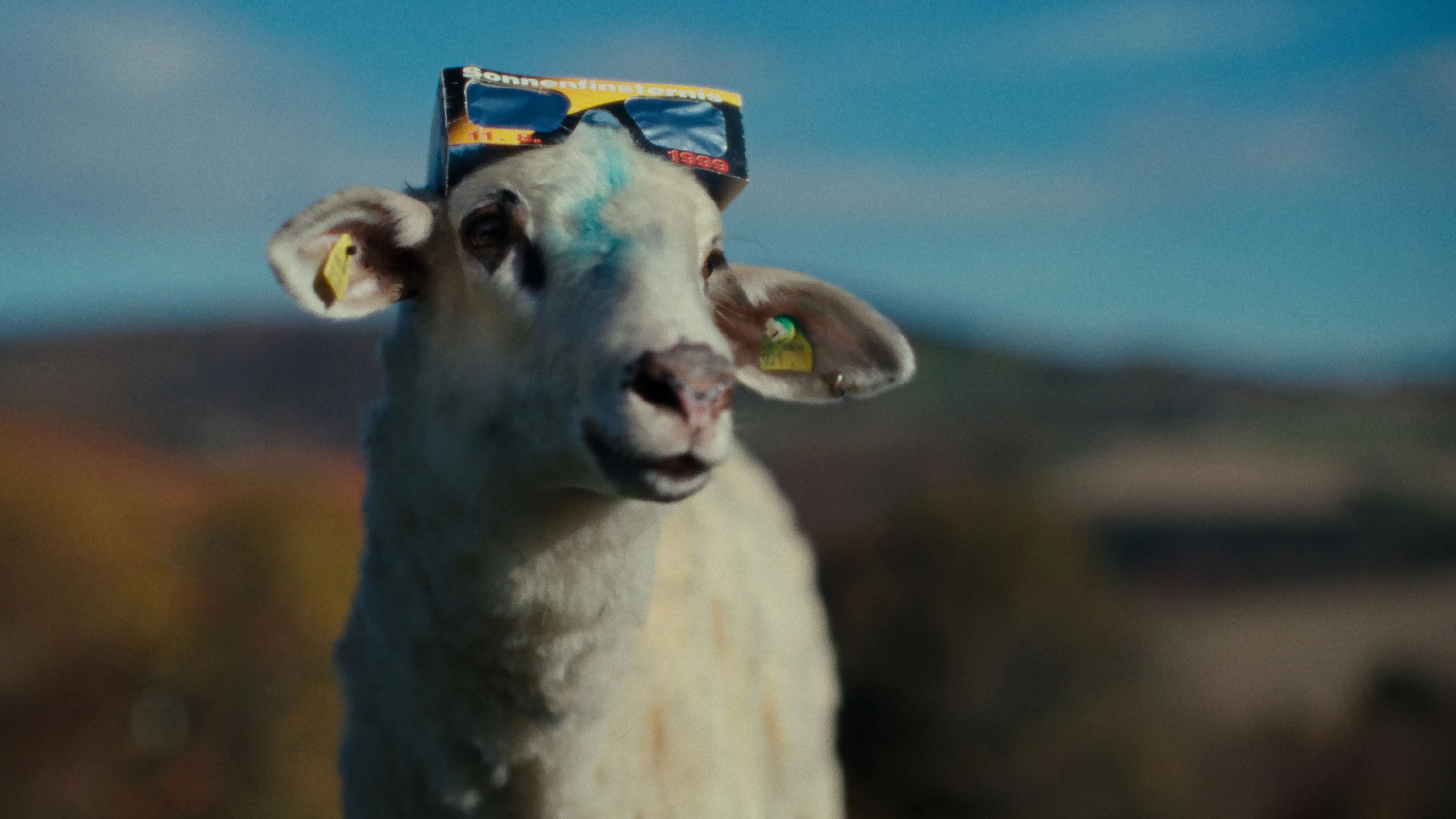 Die Serie „Sheep“ im ZDF: Satire mit Scha(r)fsinn