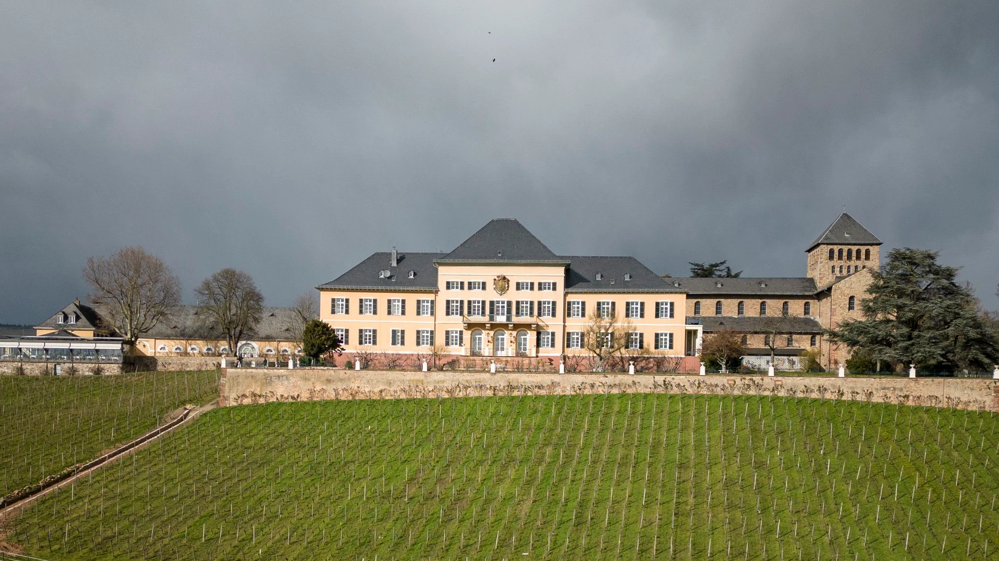 Alkoholfreier Wein: High-End-Riesling ohne Prozente Alkoholfreier Wein: High-End-Riesling ohne Prozente