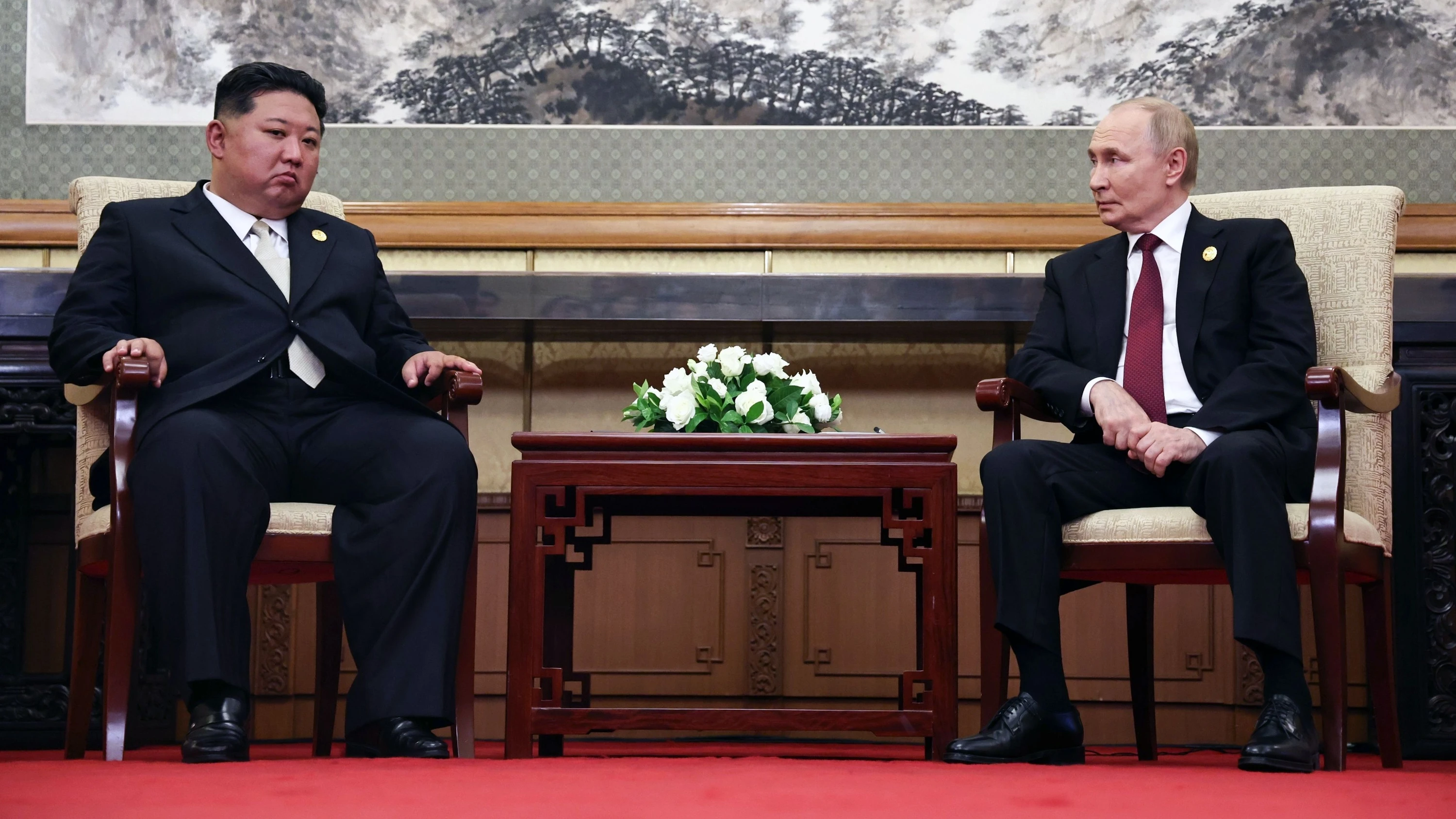 Autoritäre Staaten: Handeln Diktatoren wirklich gegen den Willen ihrer Bürger?