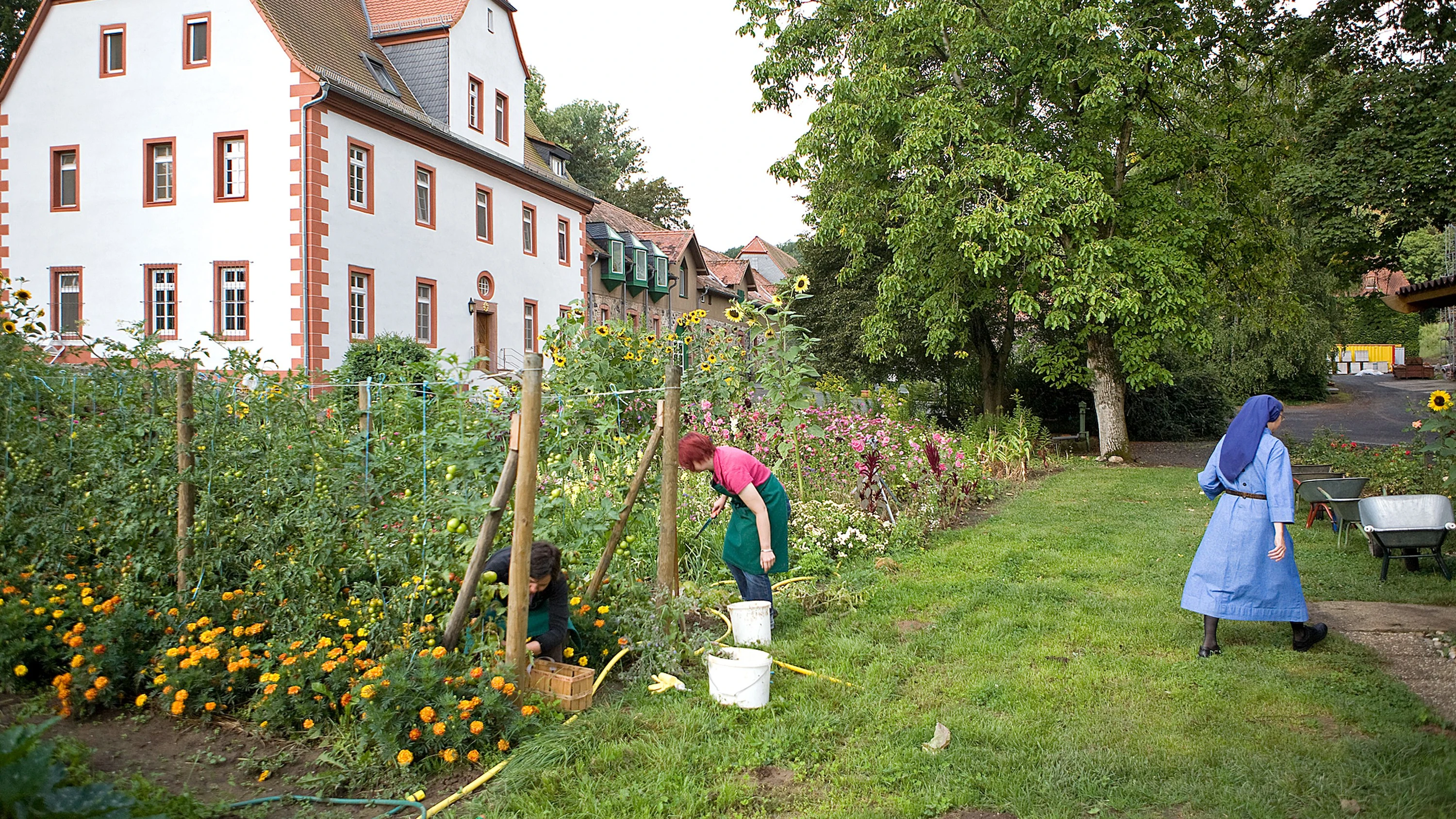 Macht viel Arbeit: Zu Kloster Engelthal in Altenstadt gehört ein fünf Hektar großes Anwesen, auf dem die Benediktinerinnen den Klostergarten anlegten. - Anna Jockisch