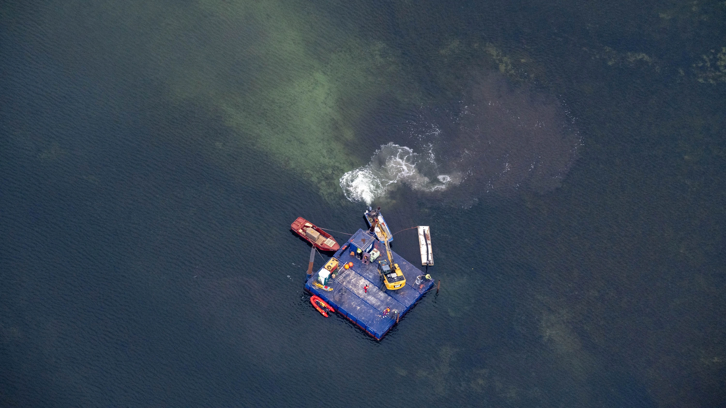 Zweifel an privaten Walrettern: Dem Meeresmuseum schickte sie „ein großes, dickes F@CK YOU“