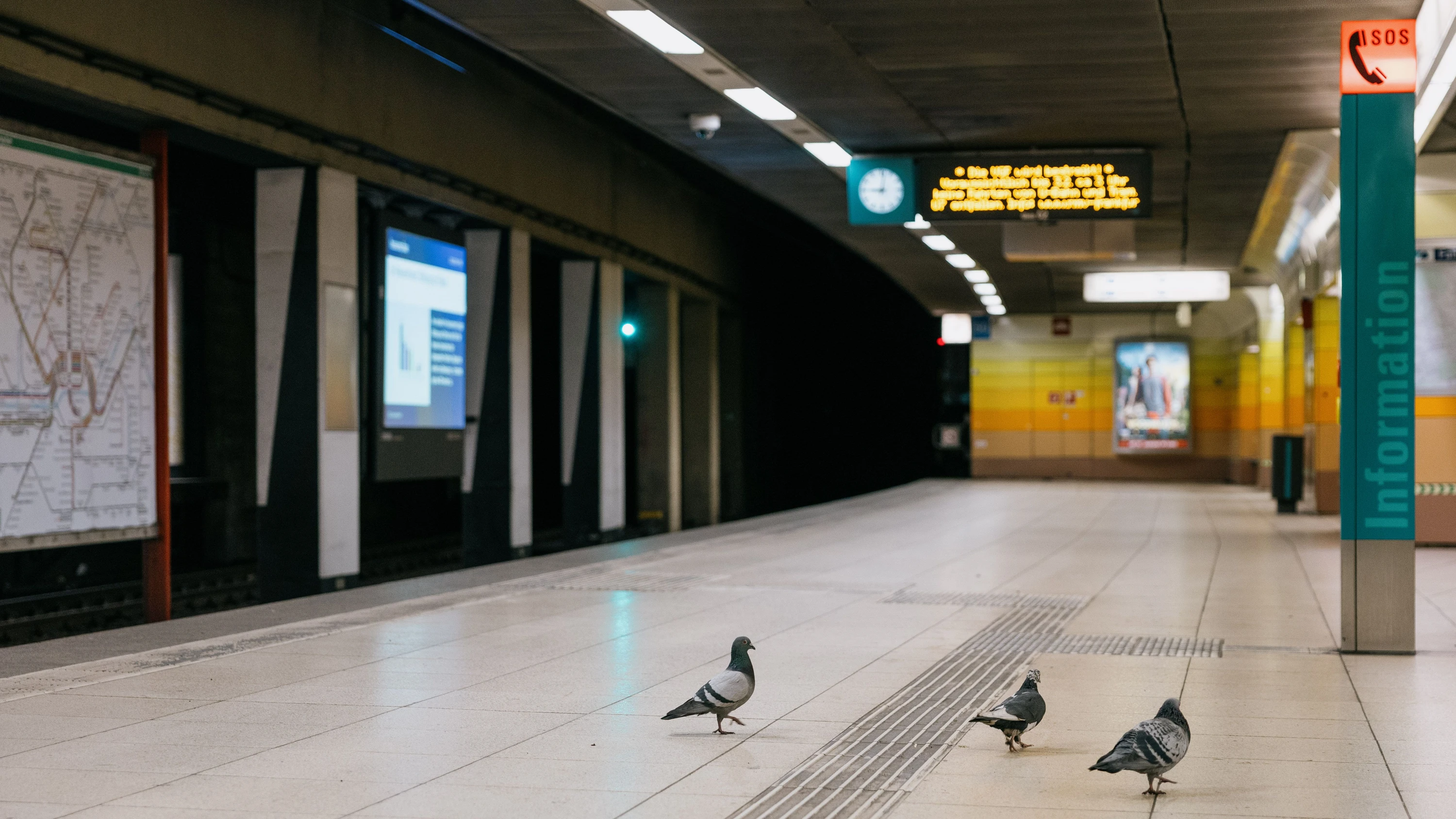 Nahverkehr in Hessen: So kommen Pendler trotz Streik bei Bus und Bahn an ihr Ziel
