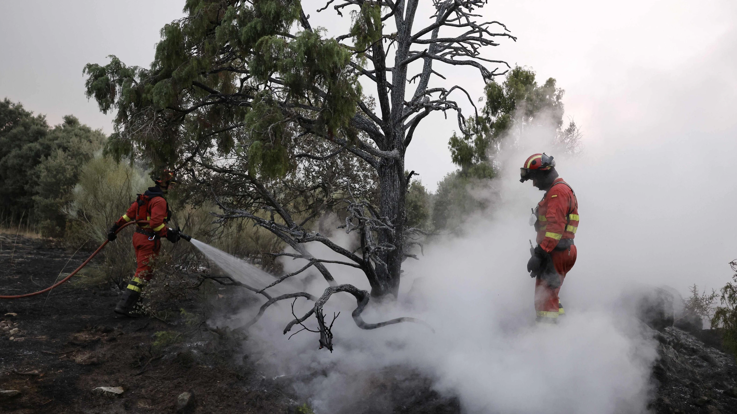 Brände in Spanien: Das Feuer bei Madrid lässt sich nicht stoppen