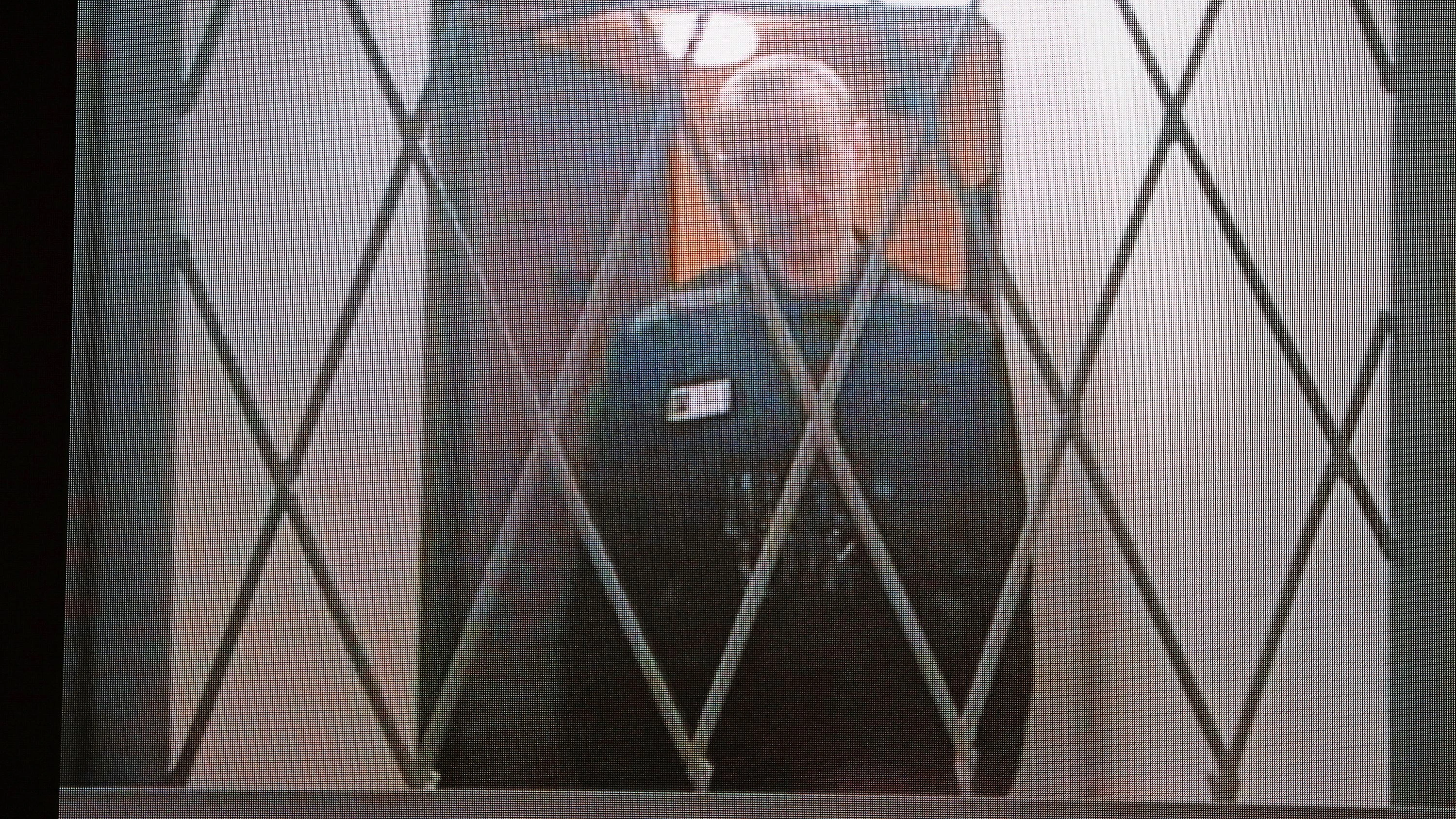 Tod Nawalnyjs: Ermordet mit dem Gift eines Frosches