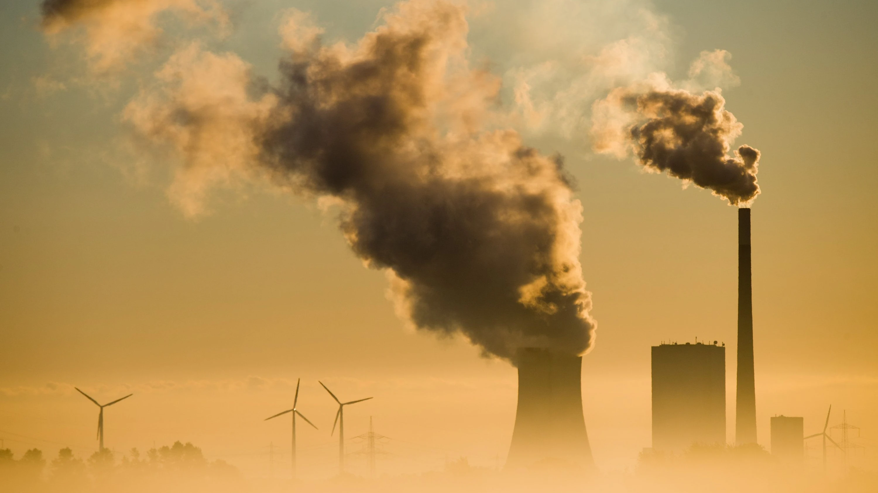 Vorgaben im Grundgesetz: Die deutsche Klimapolitik wird nicht in Karlsruhe gemacht