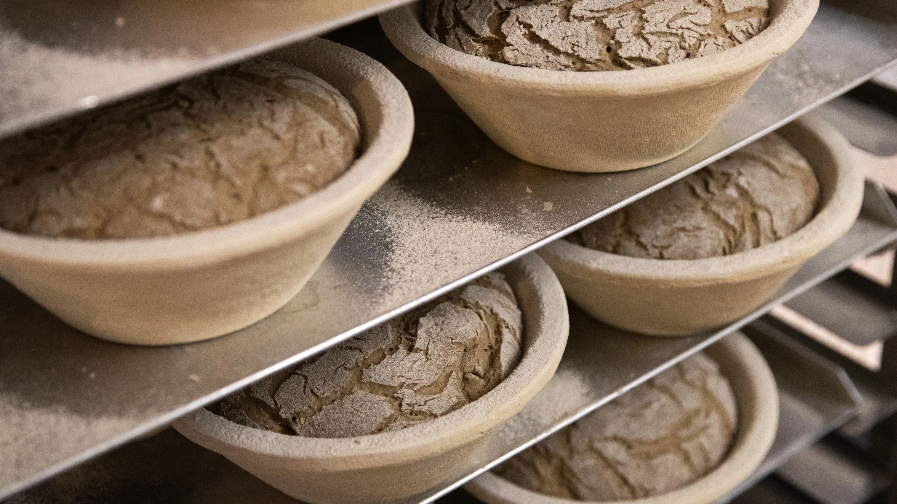 Brot und anderes: Wir sind sauer