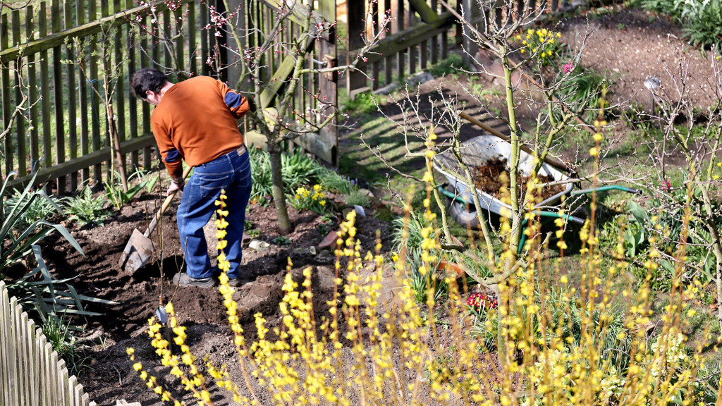 Die Deutschen und ihre GÄRTEN