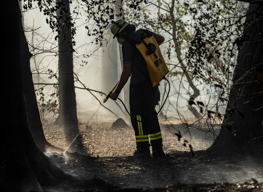 Waldbrand in Hessen