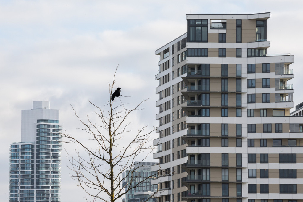 Features aus der Mainmetropole Frankfurt.